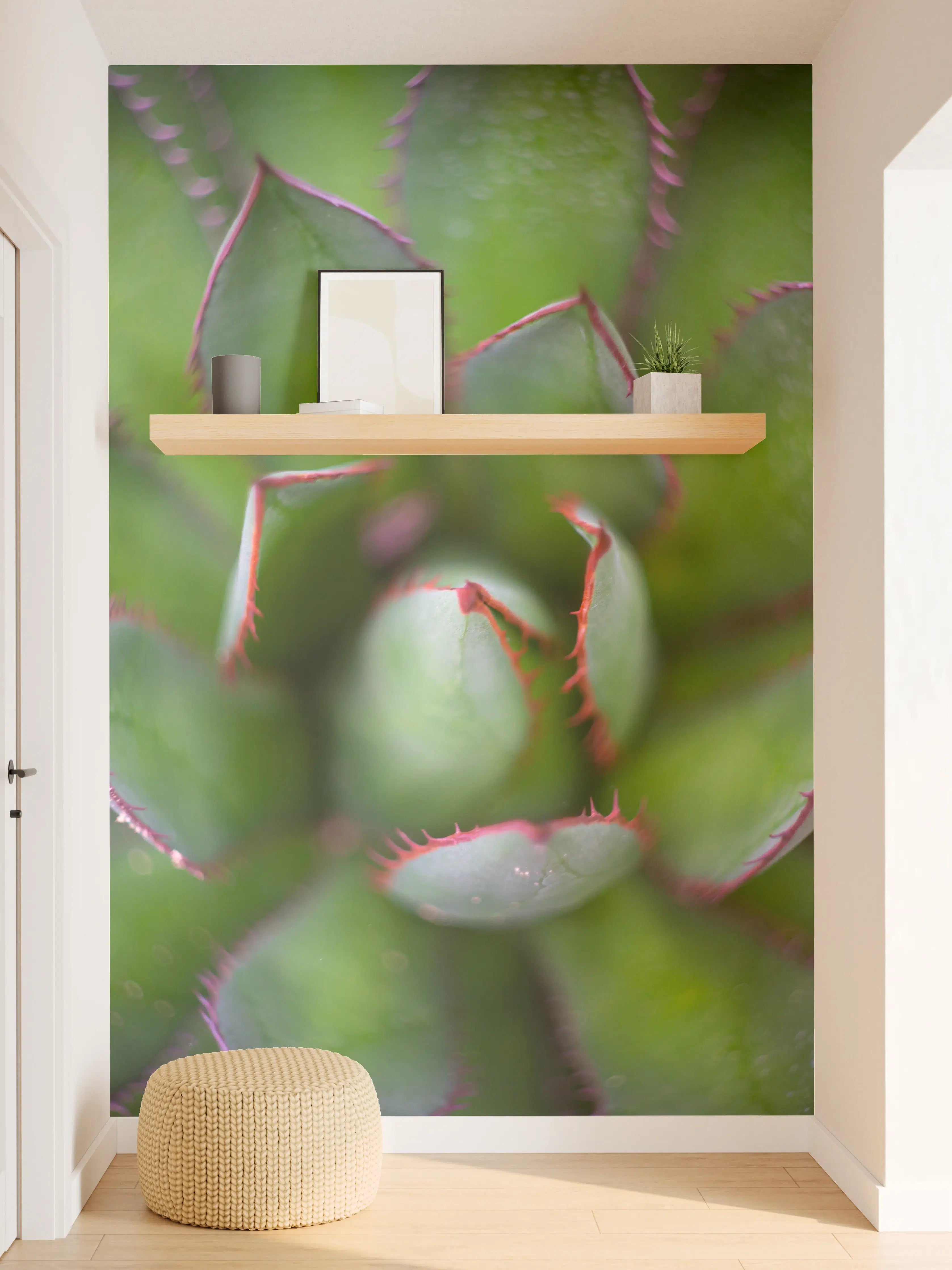 Wandverkleidung Flur - Nahaufnahme einer Sukkulente mit grünen Blättern