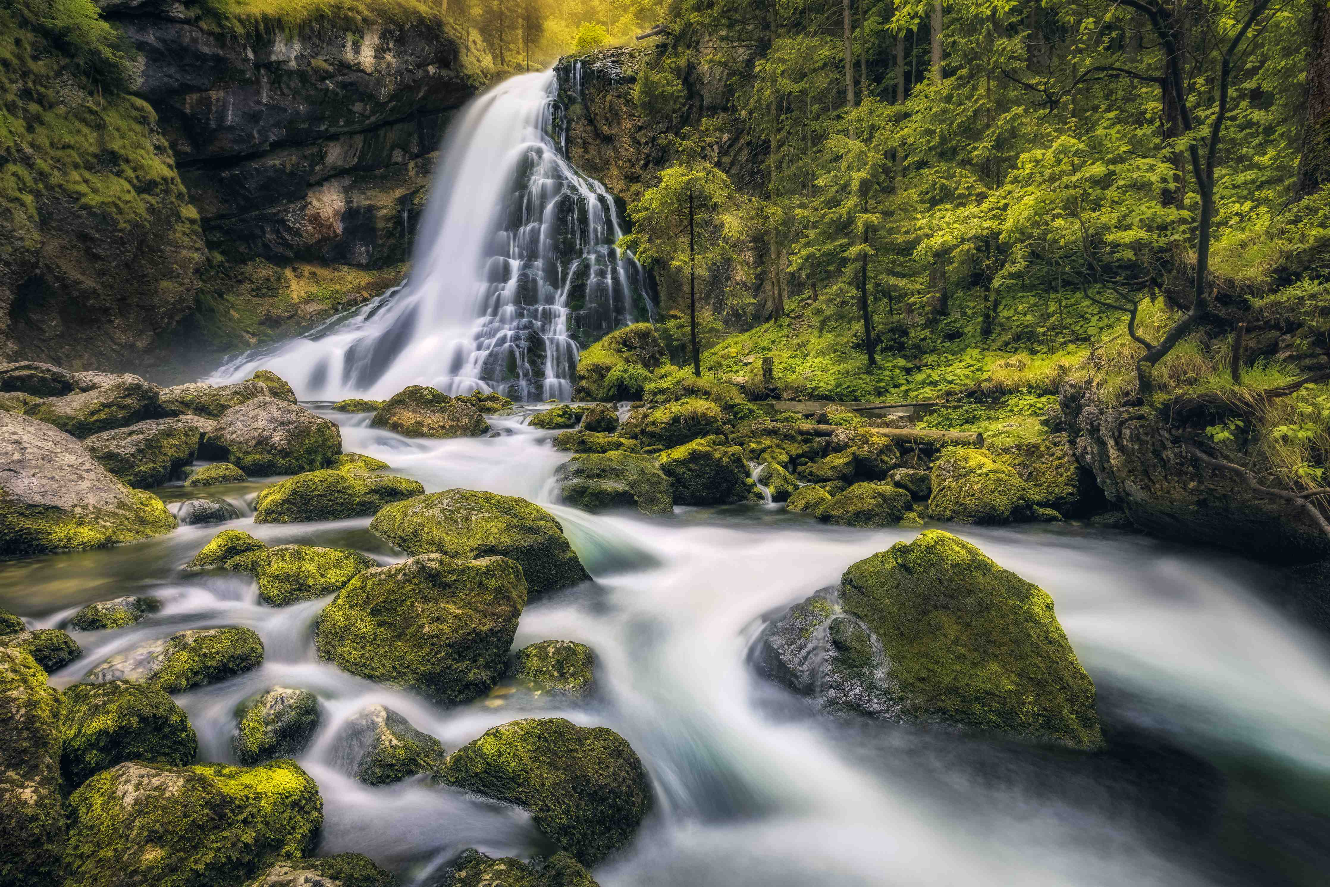 Wandverkleidung Flur-Natur pur mit Wasserfall