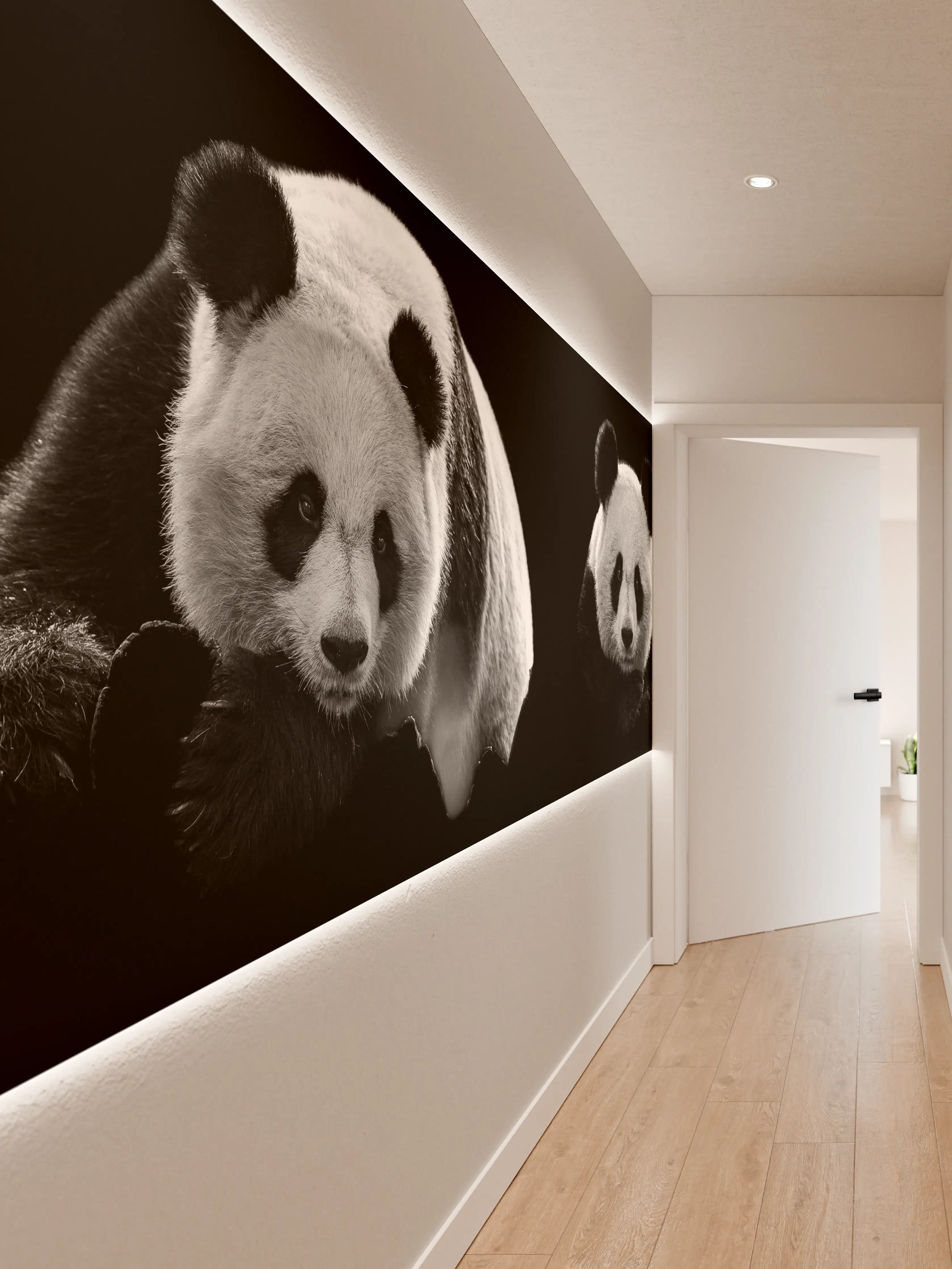 Wandverkleidung Flur - Panda mit schwarzem Hintergrund