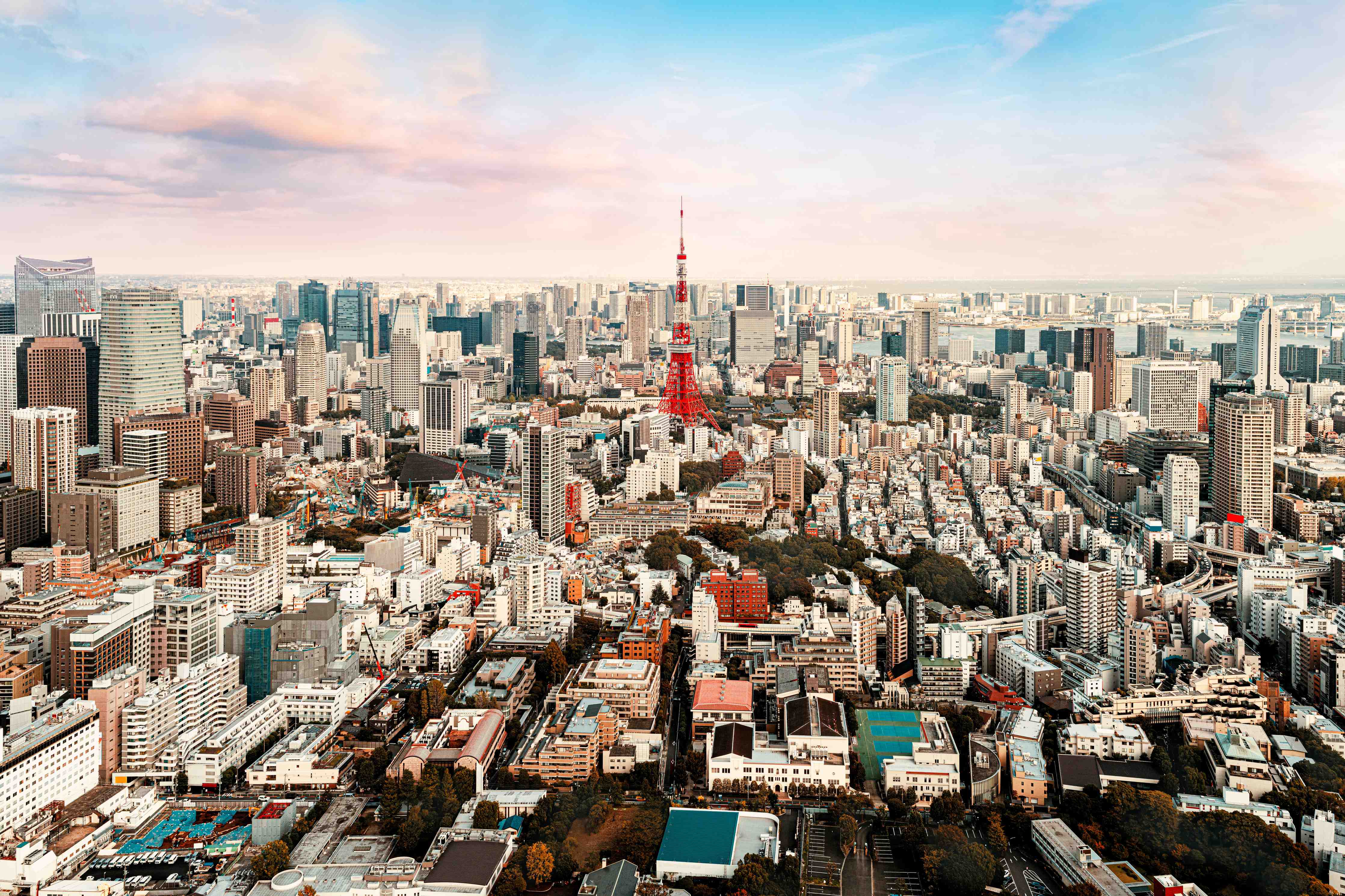 Wandverkleidung Flur-Panoramablick über Tokio mit Tokyo Tower