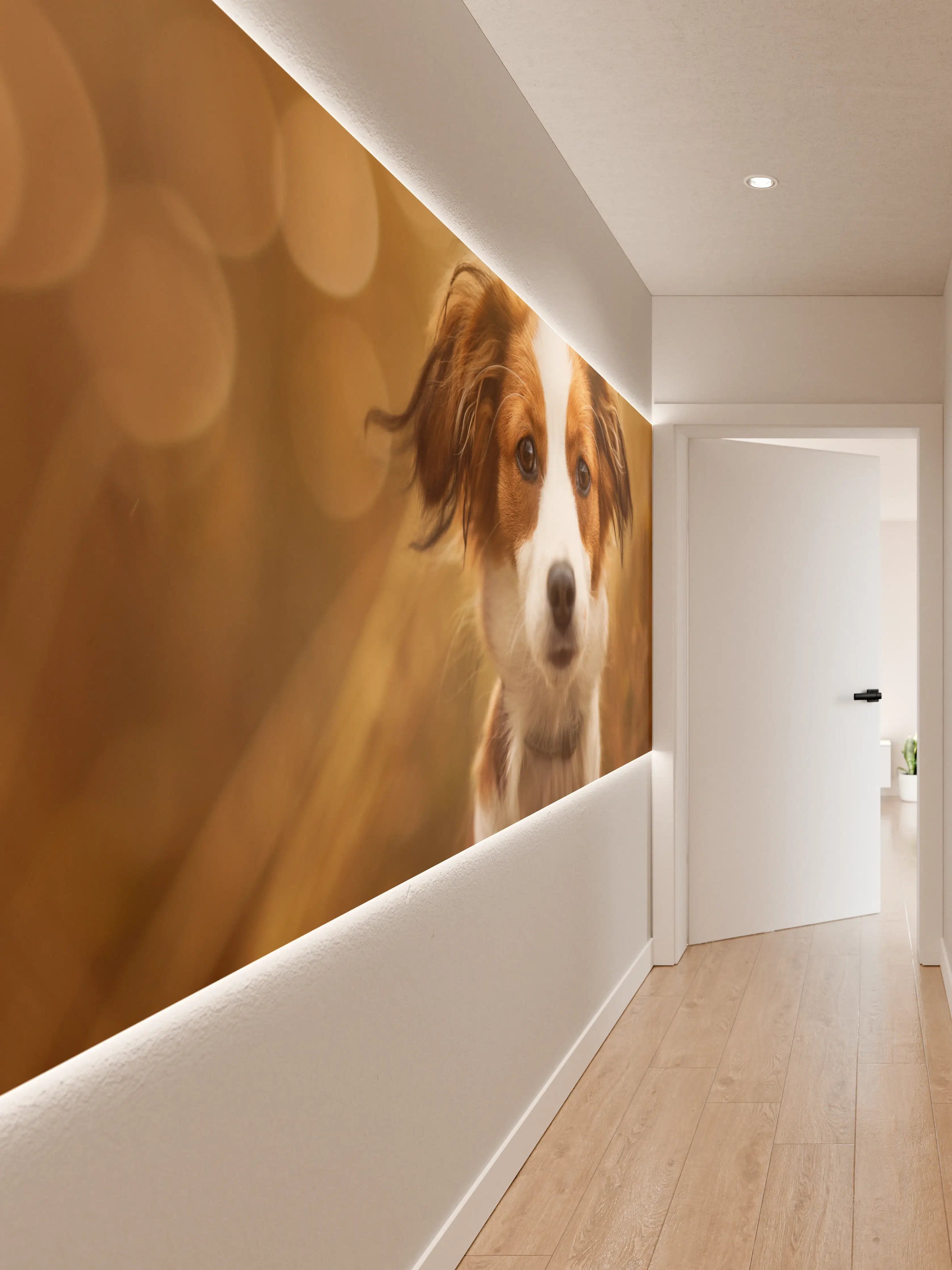 Wandverkleidung Flur - Portrait eines süßen Kooiker Hundes