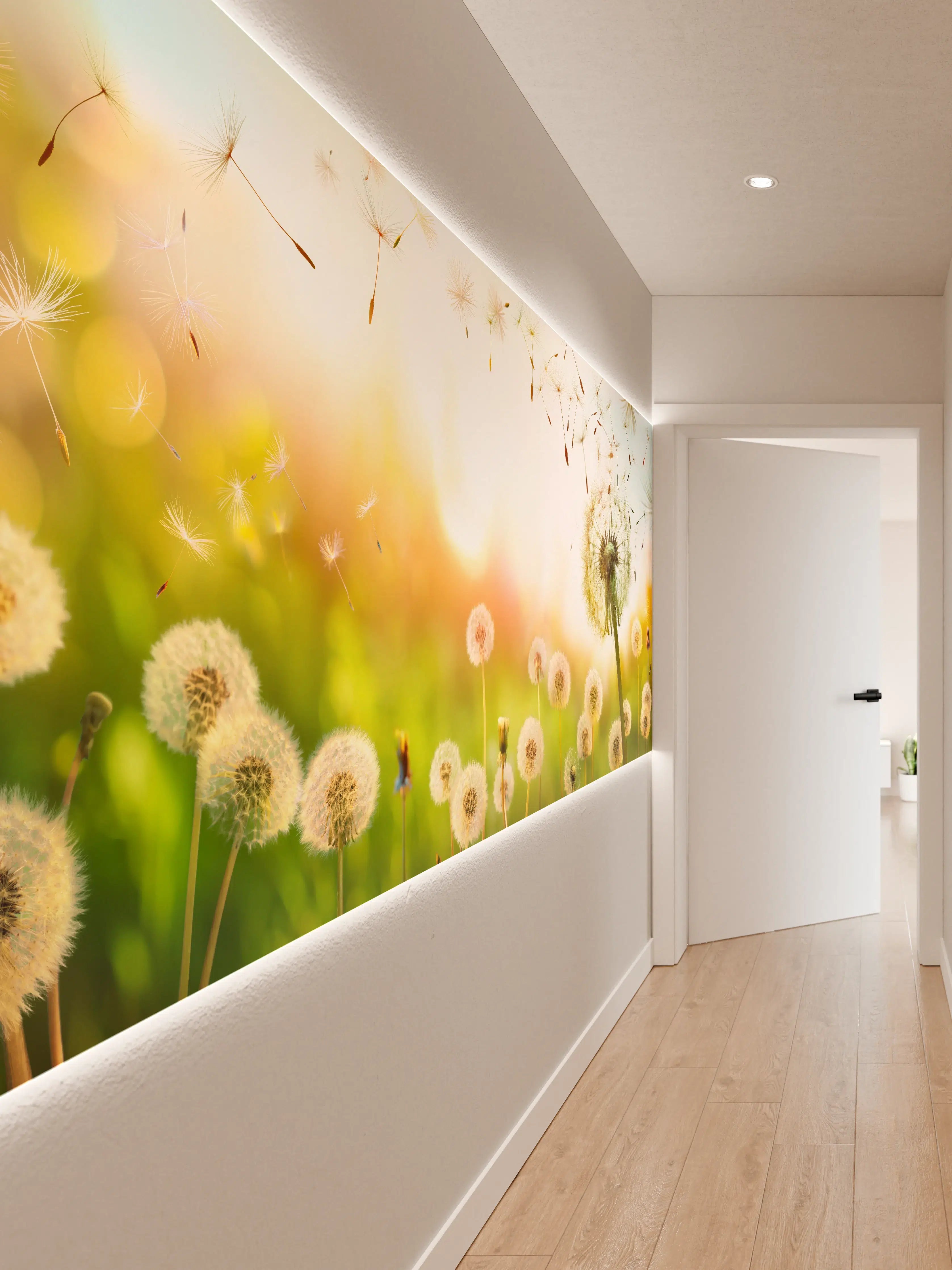 Wandverkleidung Flur - Pusteblumen im goldenen Licht