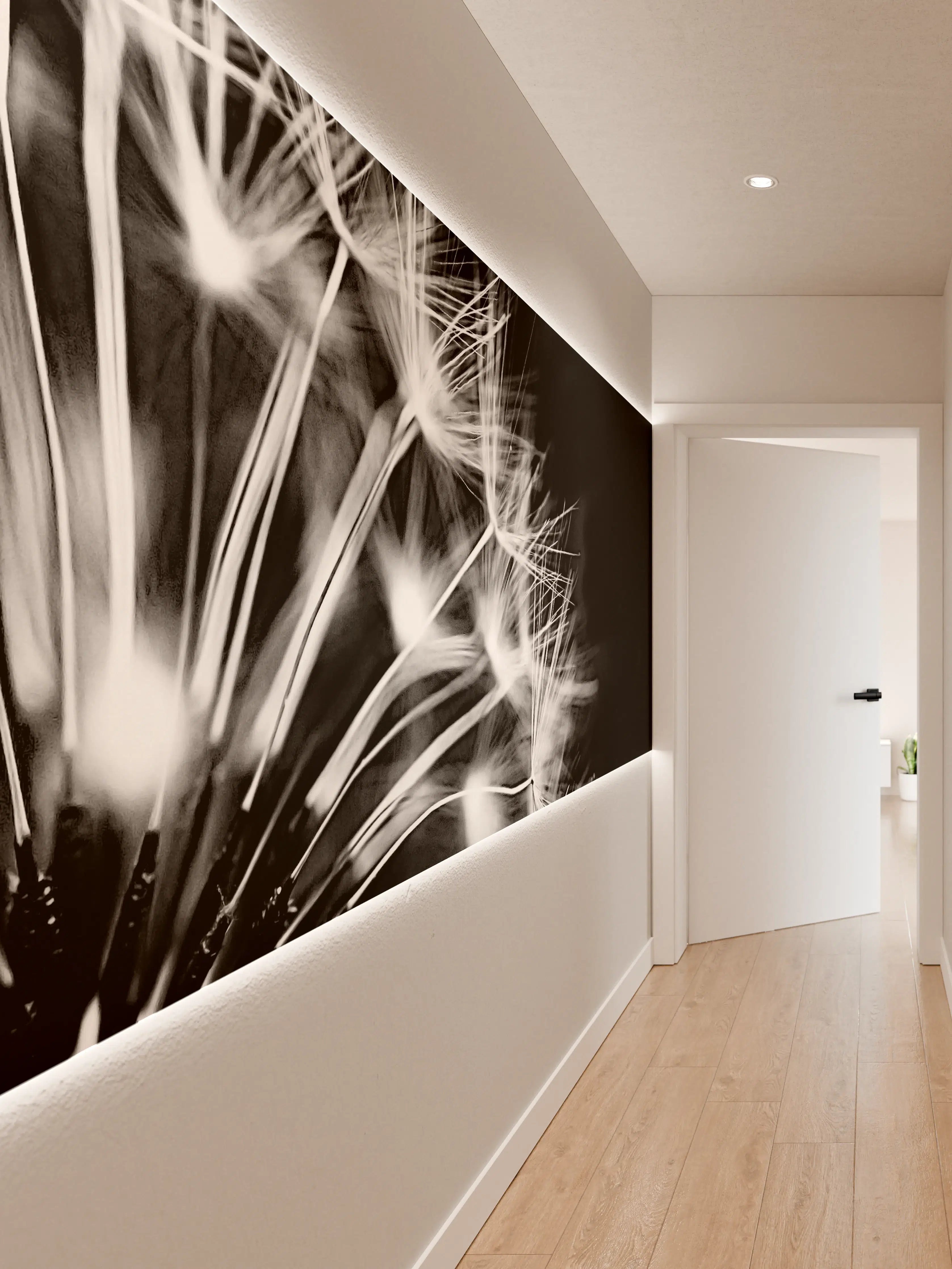 Wandverkleidung Flur - Pusteblumen schwarz-weiß Hintergrund