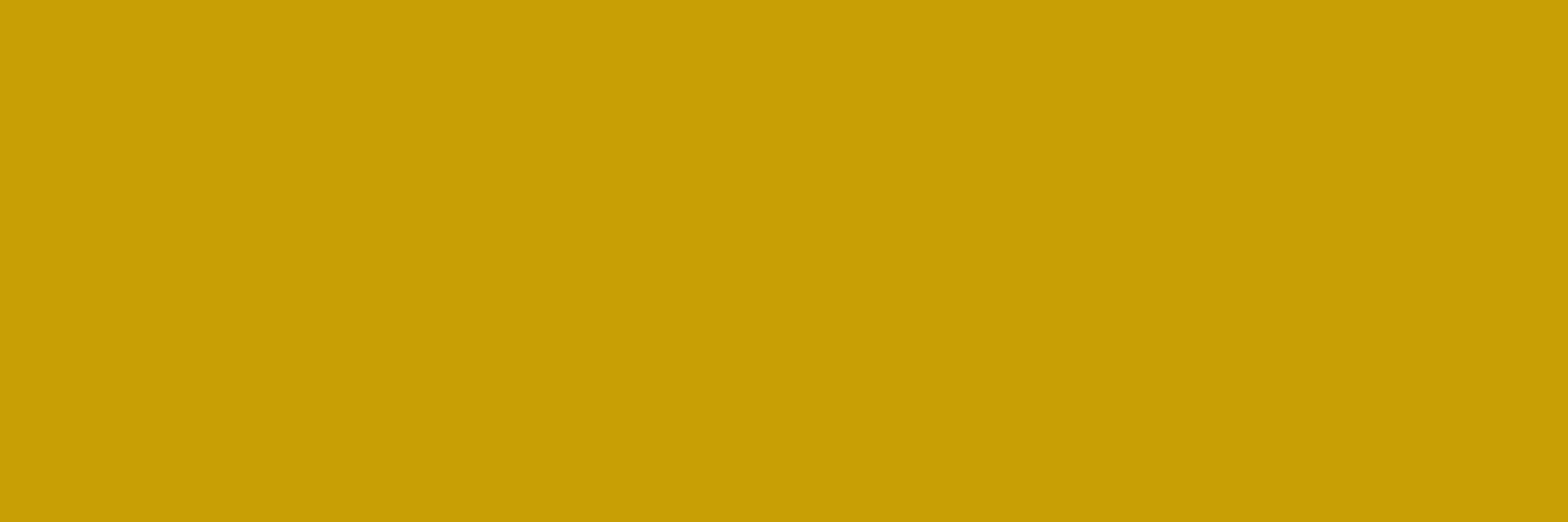 Wandverkleidung Flur-RAL 1005 (Honiggelb)