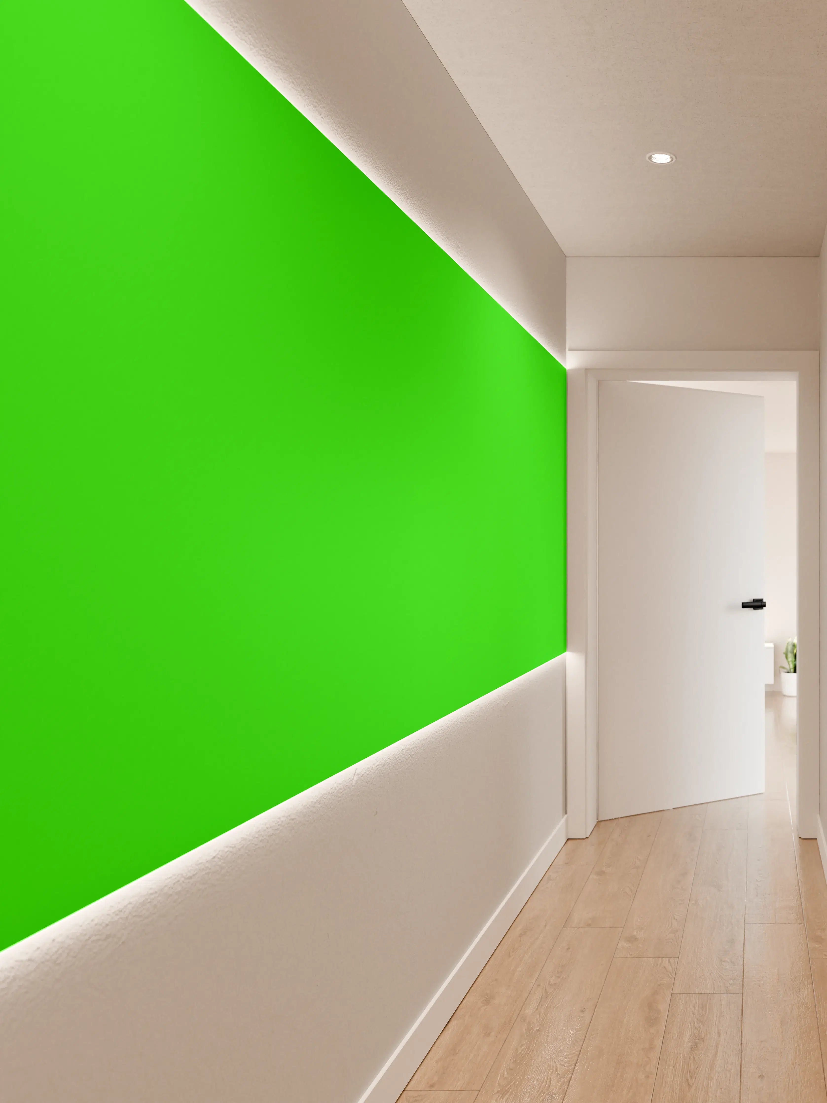 Wandverkleidung Flur - RAL 6037 (Reines Grün)