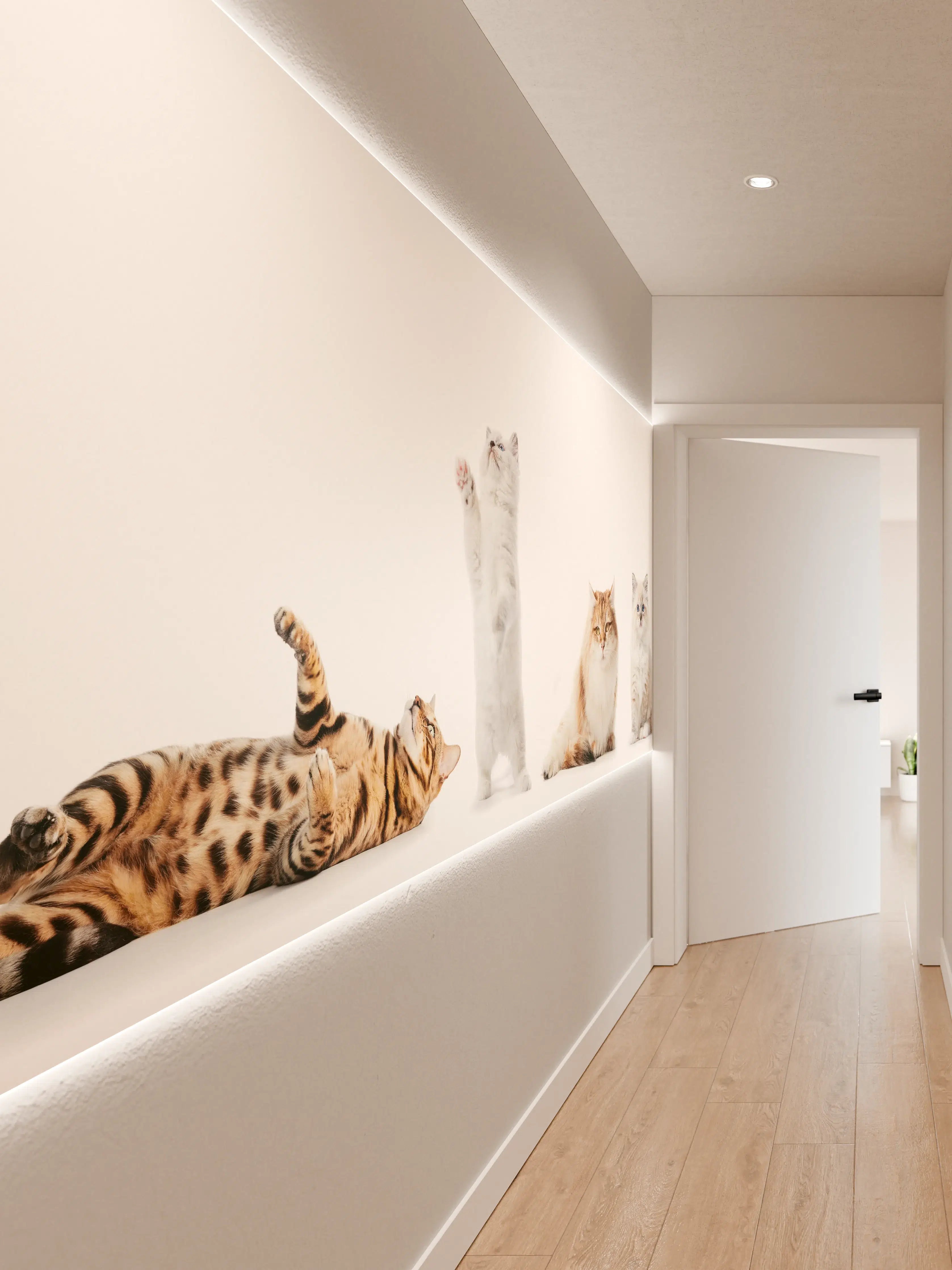 Wandverkleidung Flur - Reinrassige Katzen Weiß-Sammlung