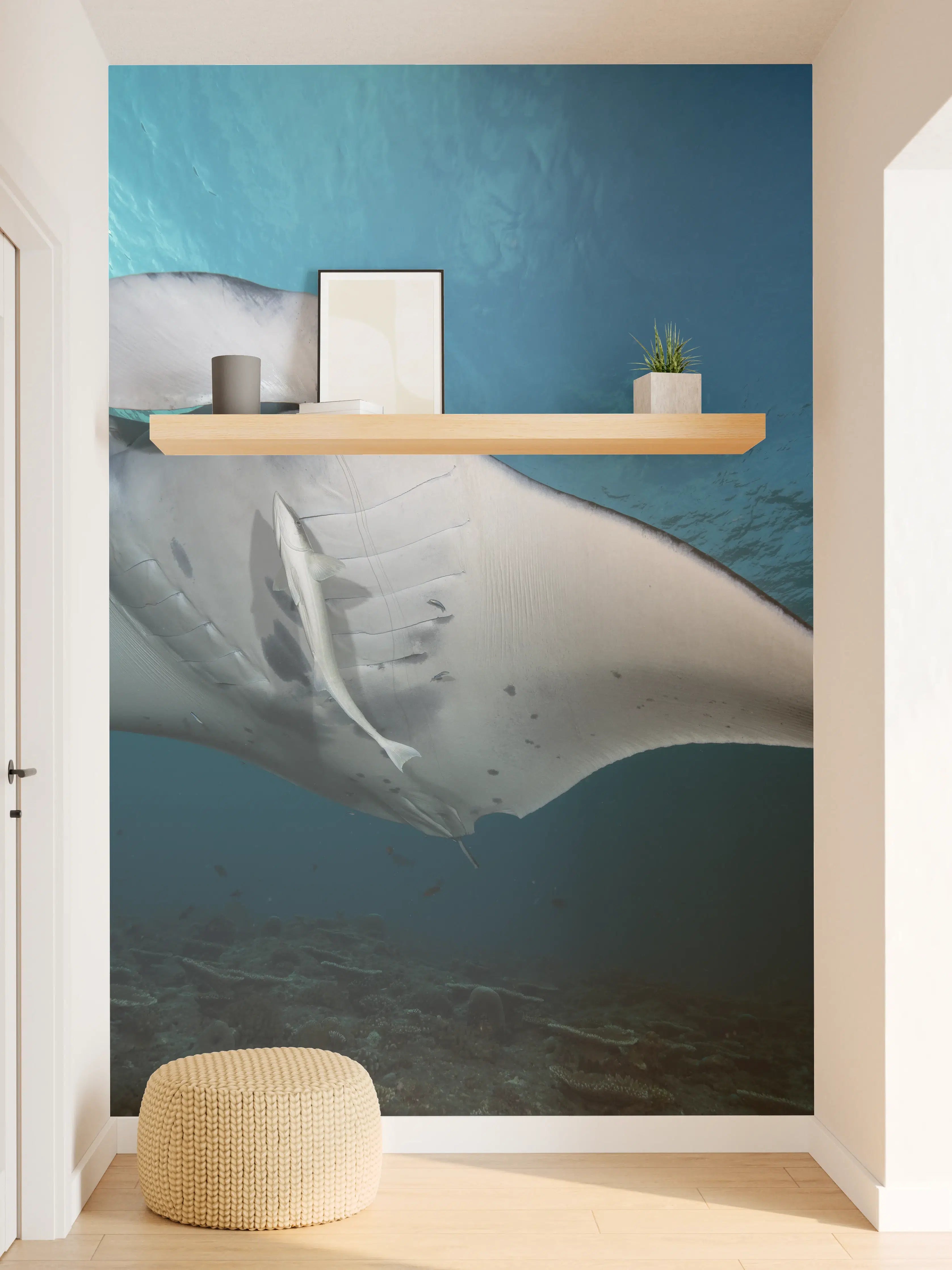 Wandverkleidung Flur - Riff-Manta Unterwasser