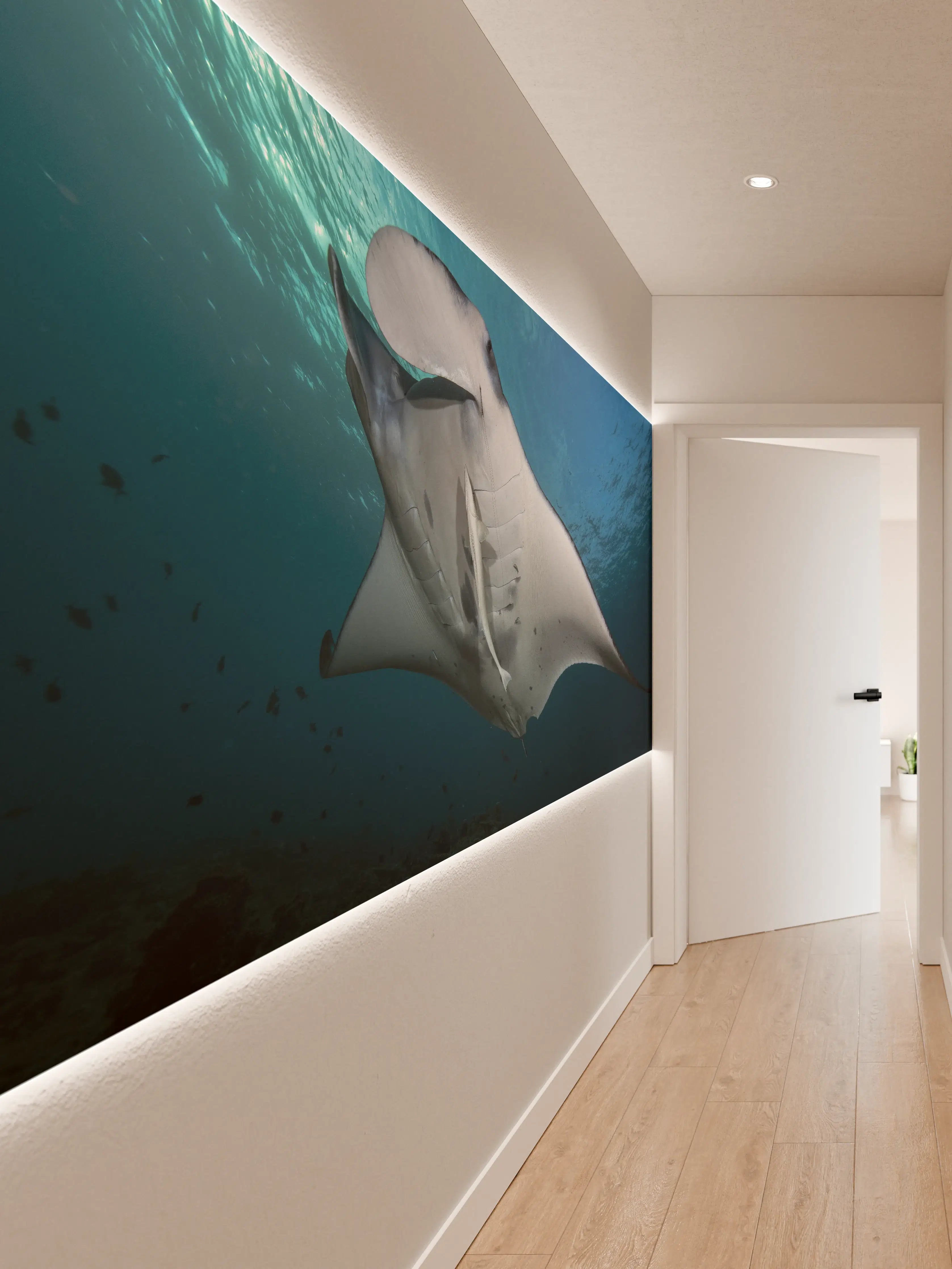 Wandverkleidung Flur - Riff-Manta Unterwasser