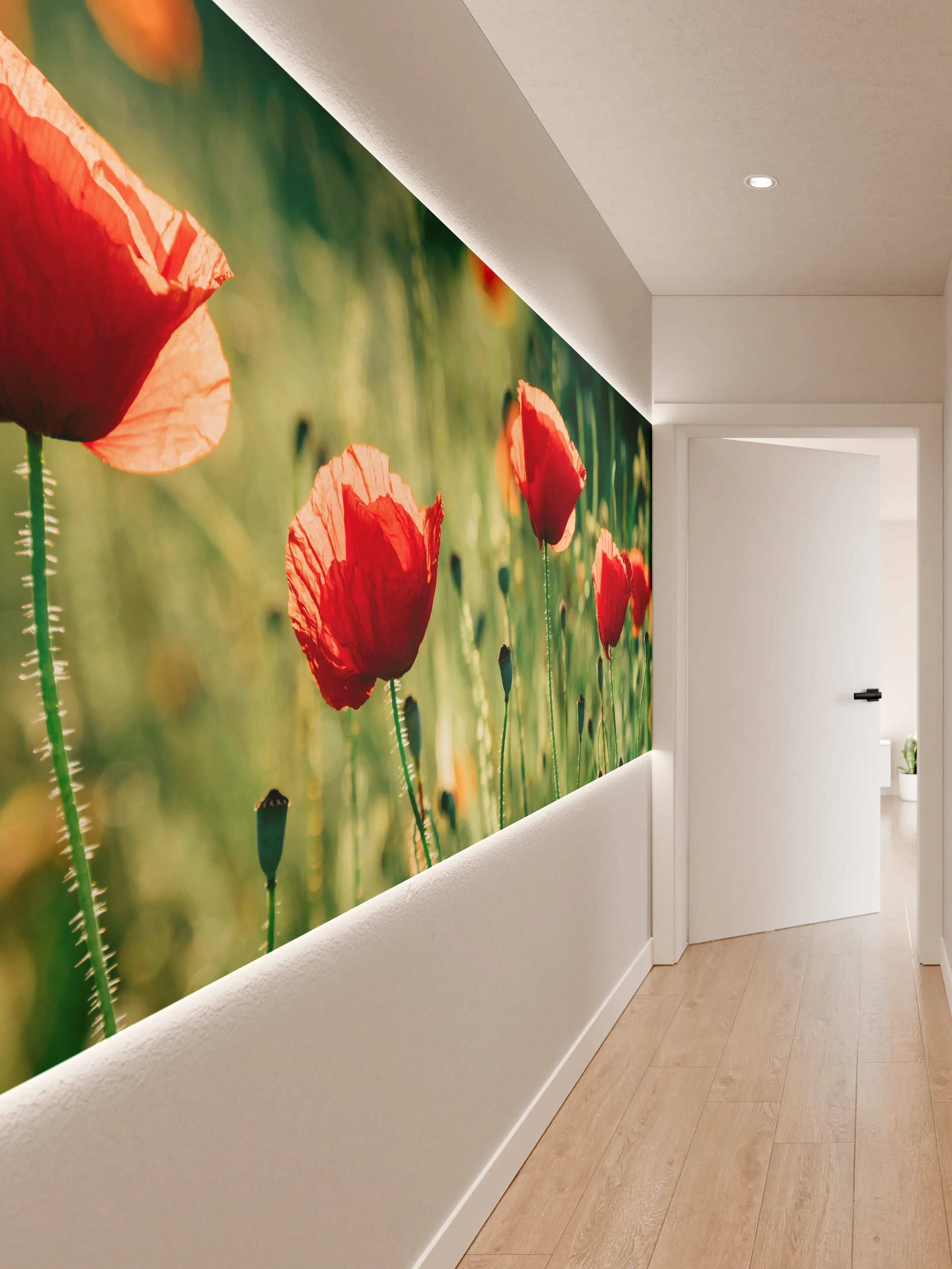 Wandverkleidung Flur - Rote Mohnblumen Sommerwiese