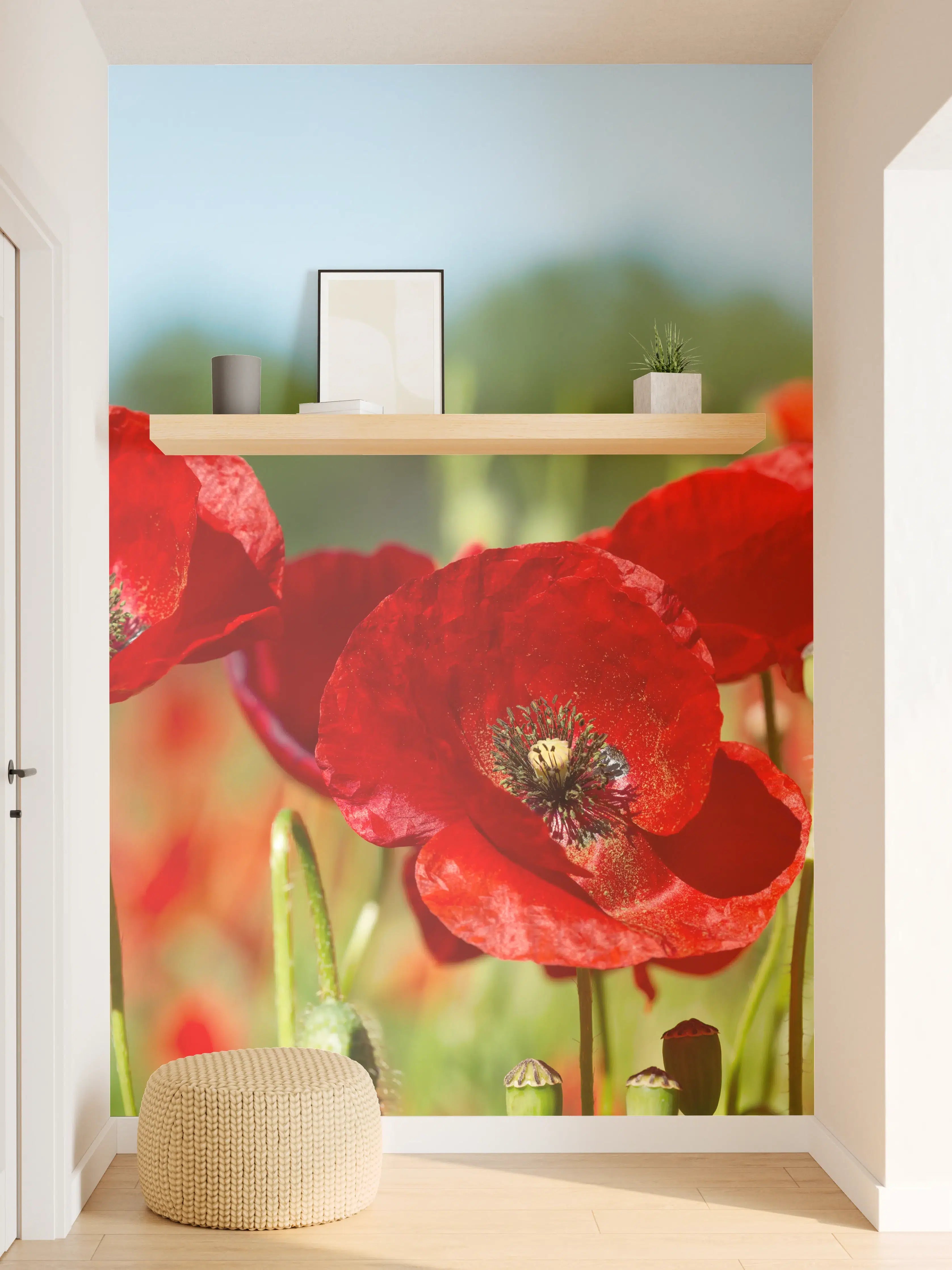 Wandverkleidung Flur - Rote Mohnblumen auf einem Feld