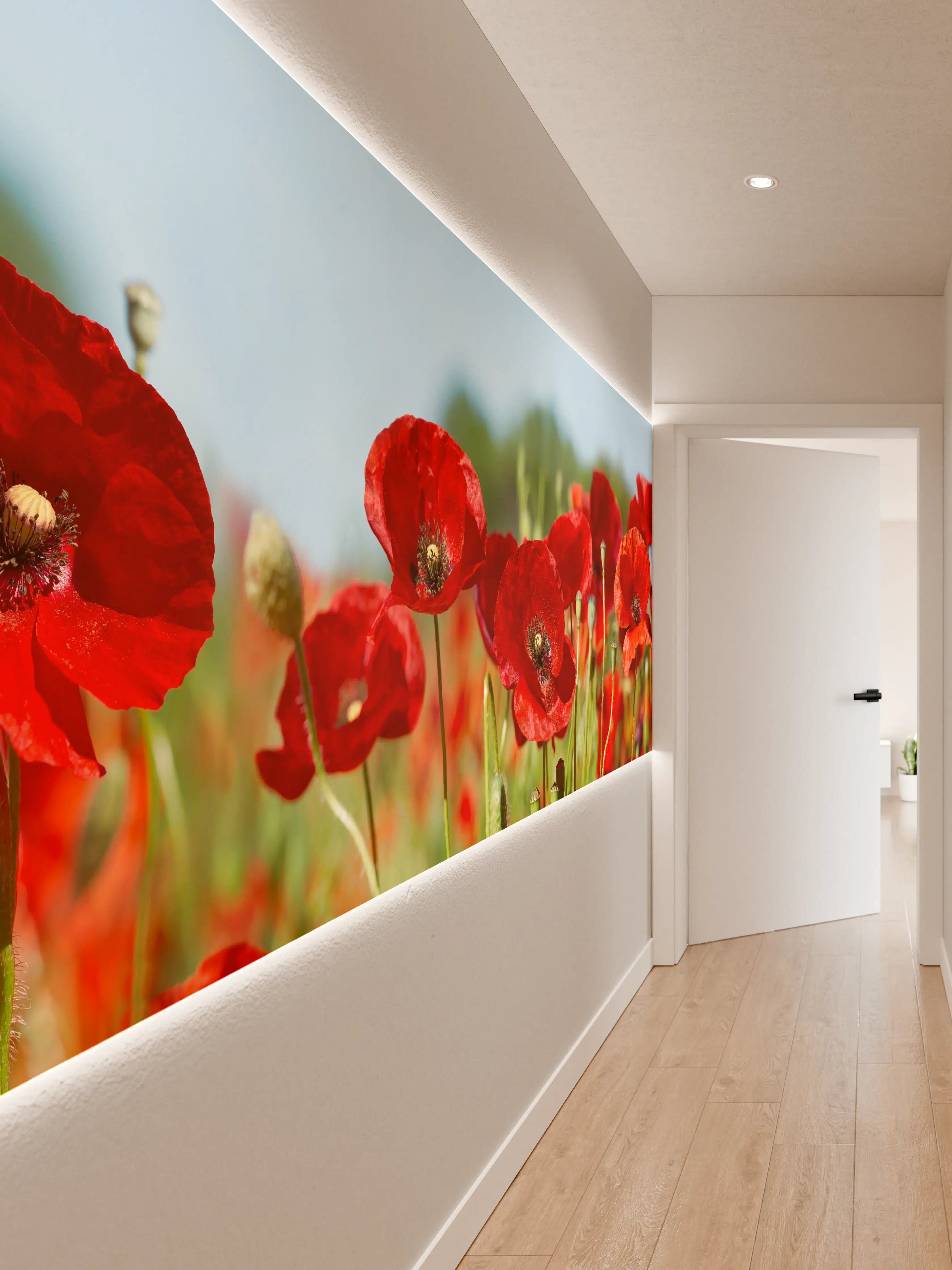 Wandverkleidung Flur - Rote Mohnblumen auf einem Feld
