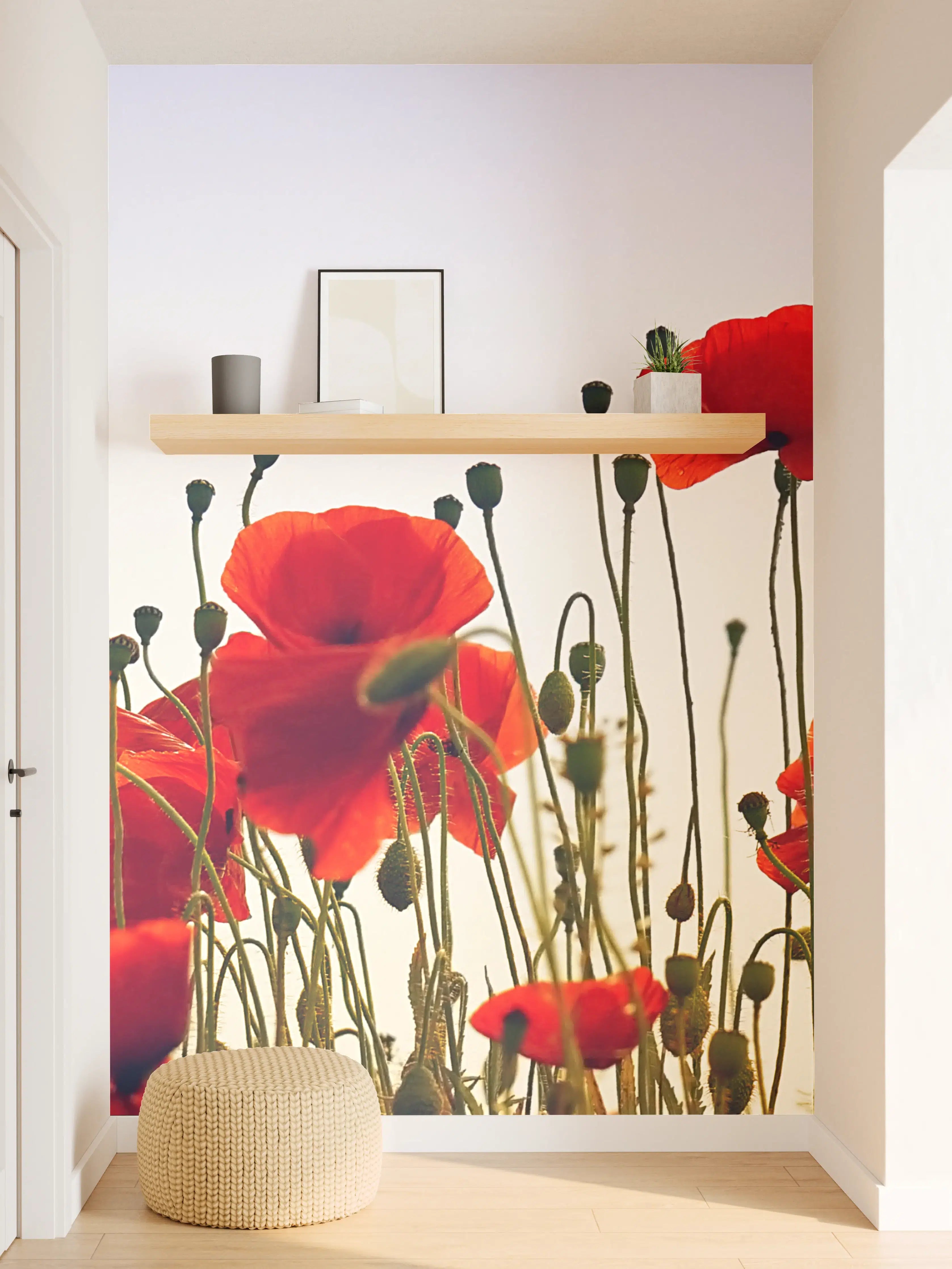 Wandverkleidung Flur - Rote Mohnblumen im Feld bei Sonnenaufgang