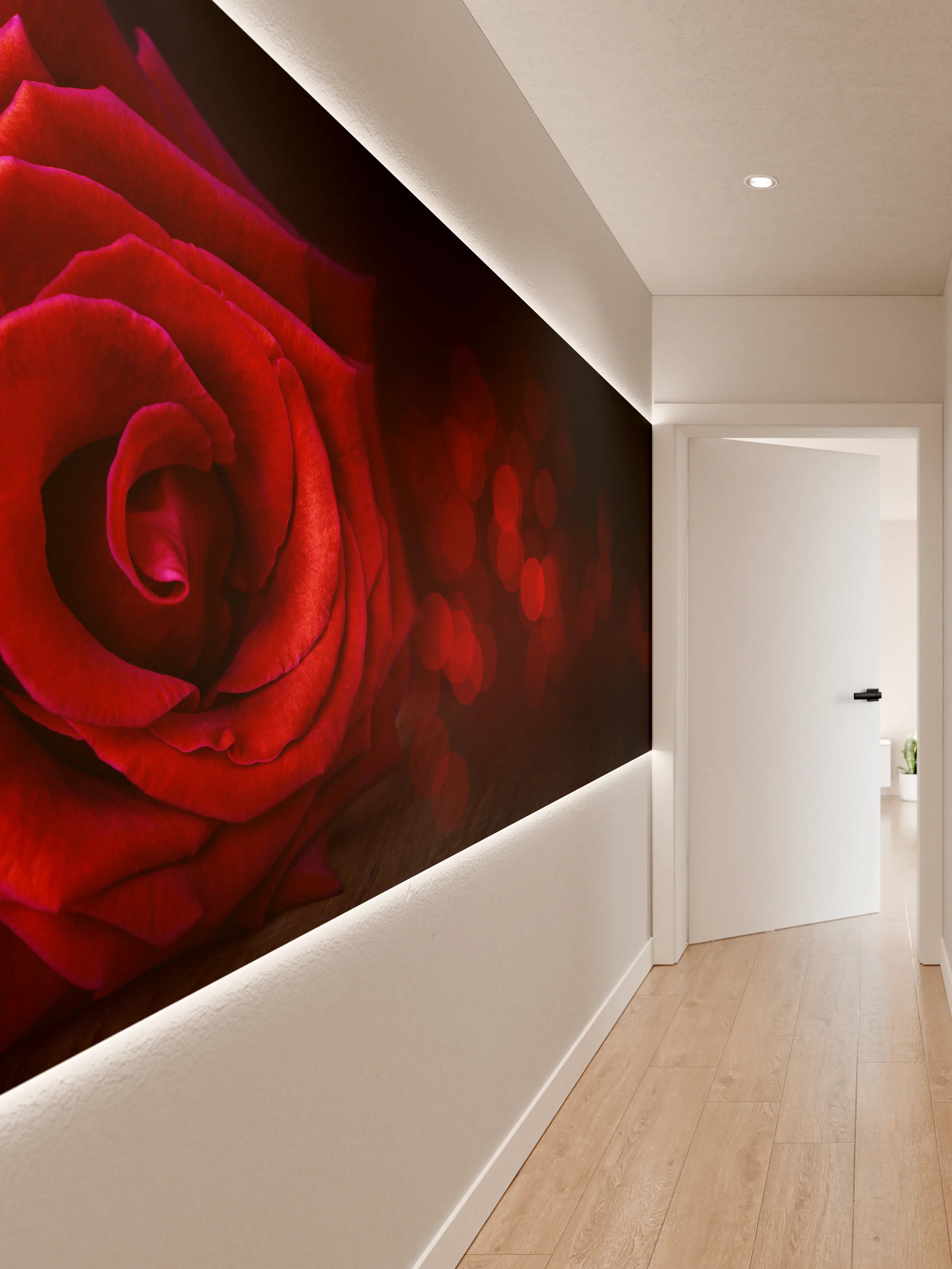 Wandverkleidung Flur - Rote Rose auf schwarzem Hintergrund