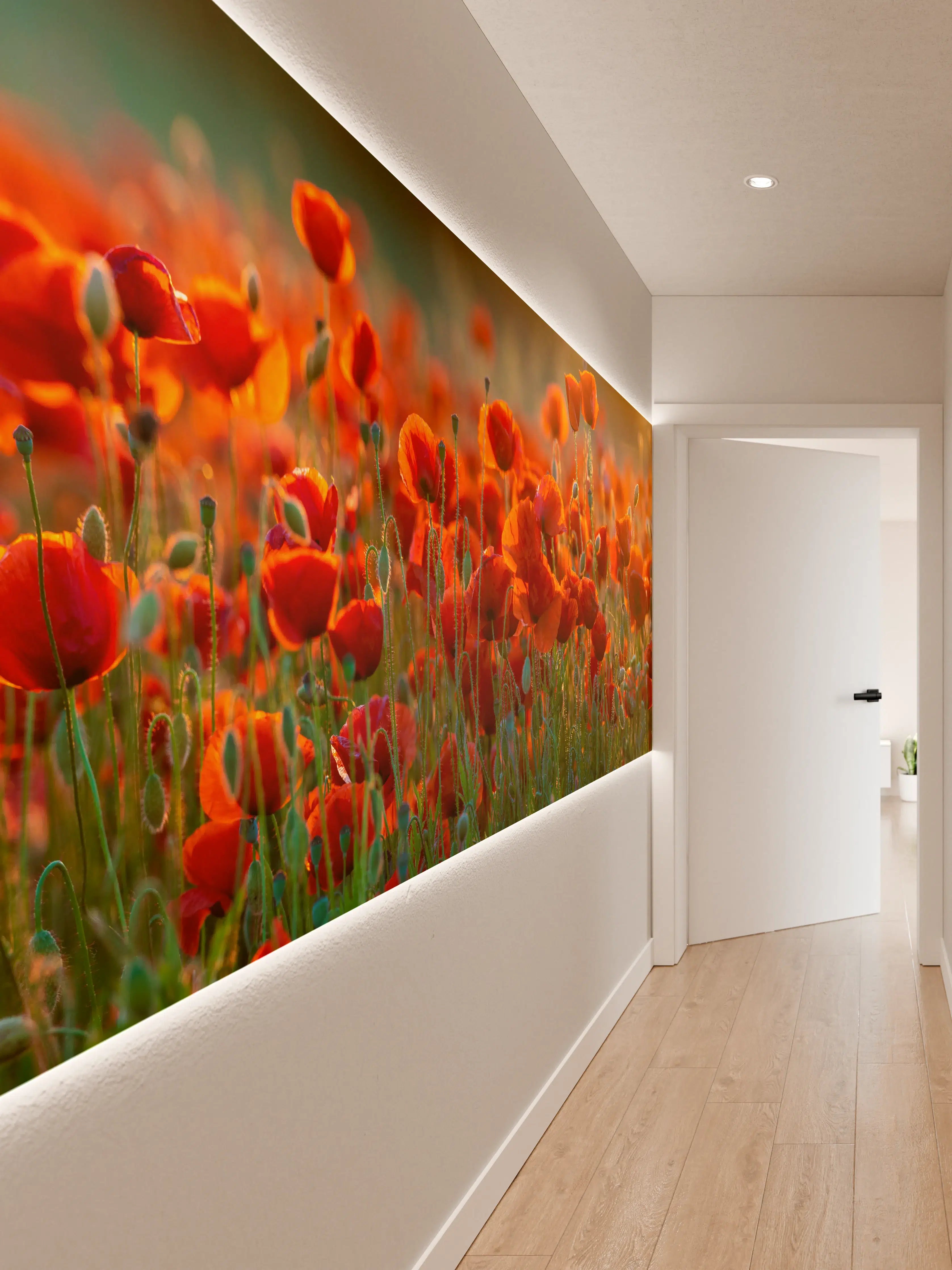 Wandverkleidung Flur - Rotes Mohnfeld Panorama