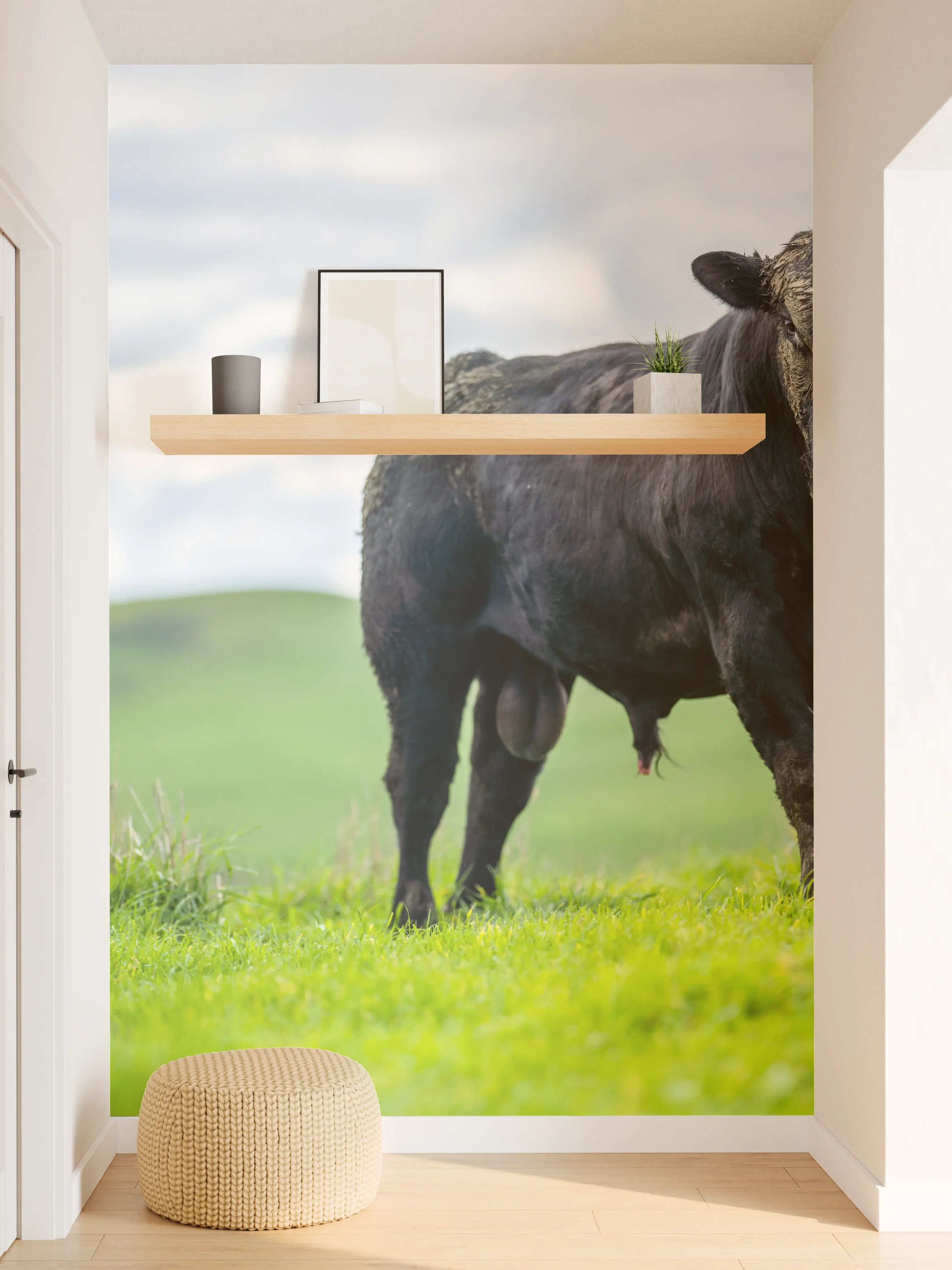 Wandverkleidung Flur - Schmutziger Aberdeen Angus