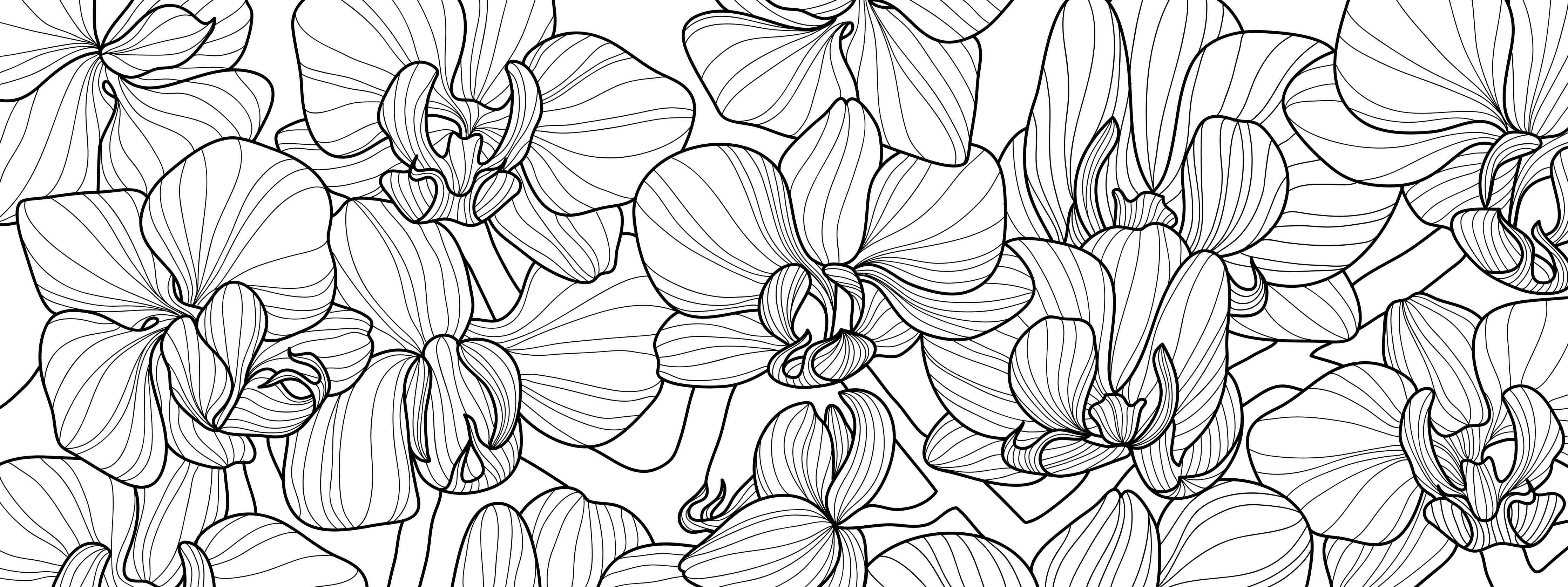Wandverkleidung Flur-Schwarz-Weiß Orchideenzeichnung