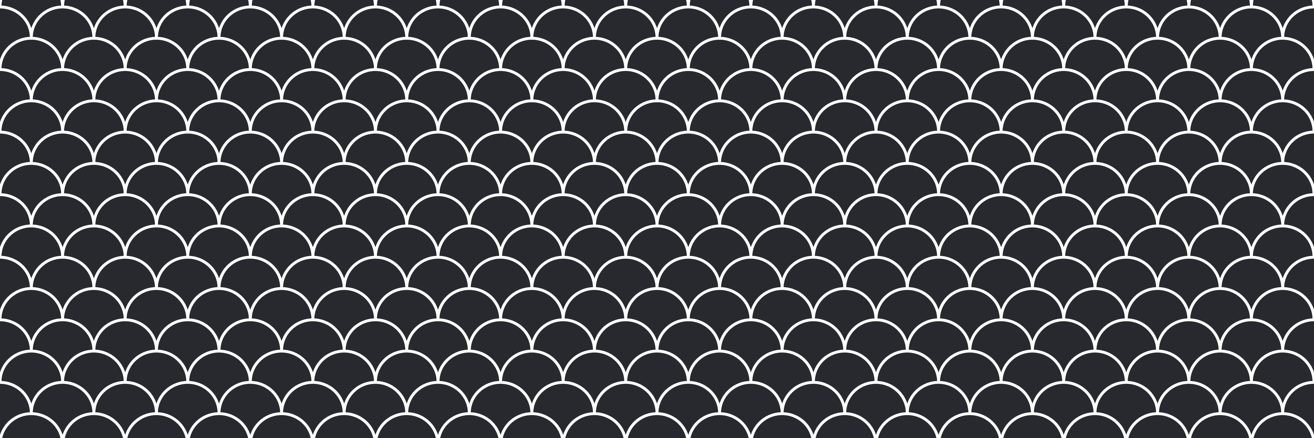 Wandverkleidung Flur-Schwarz-weiße Fischschuppen-Muster, elegant und zeitlos