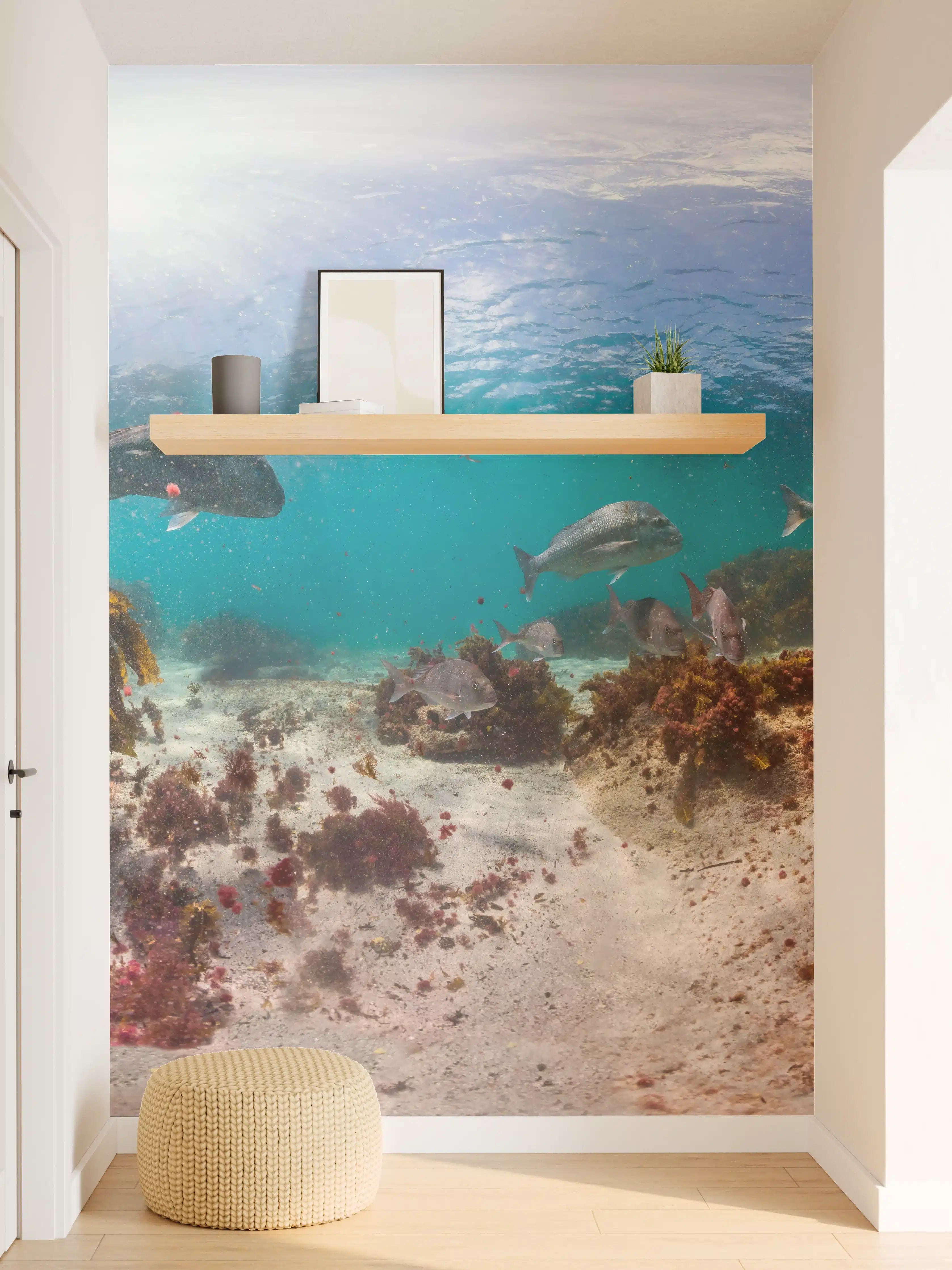 Wandverkleidung Flur - Seetang und Fisch in Neuseeland