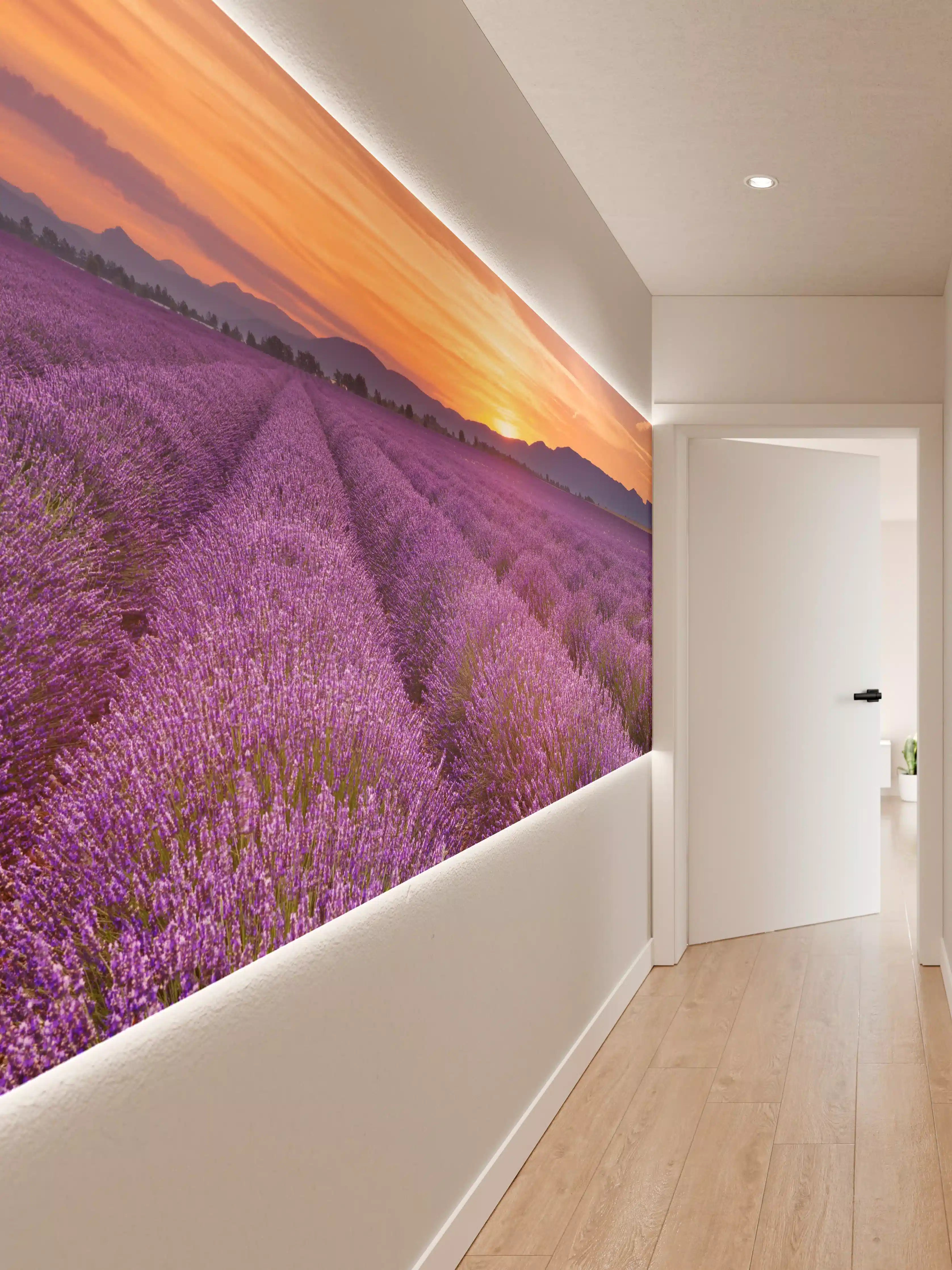 Wandverkleidung Flur - Sonnenaufgang über Lavendelfelder - Provence