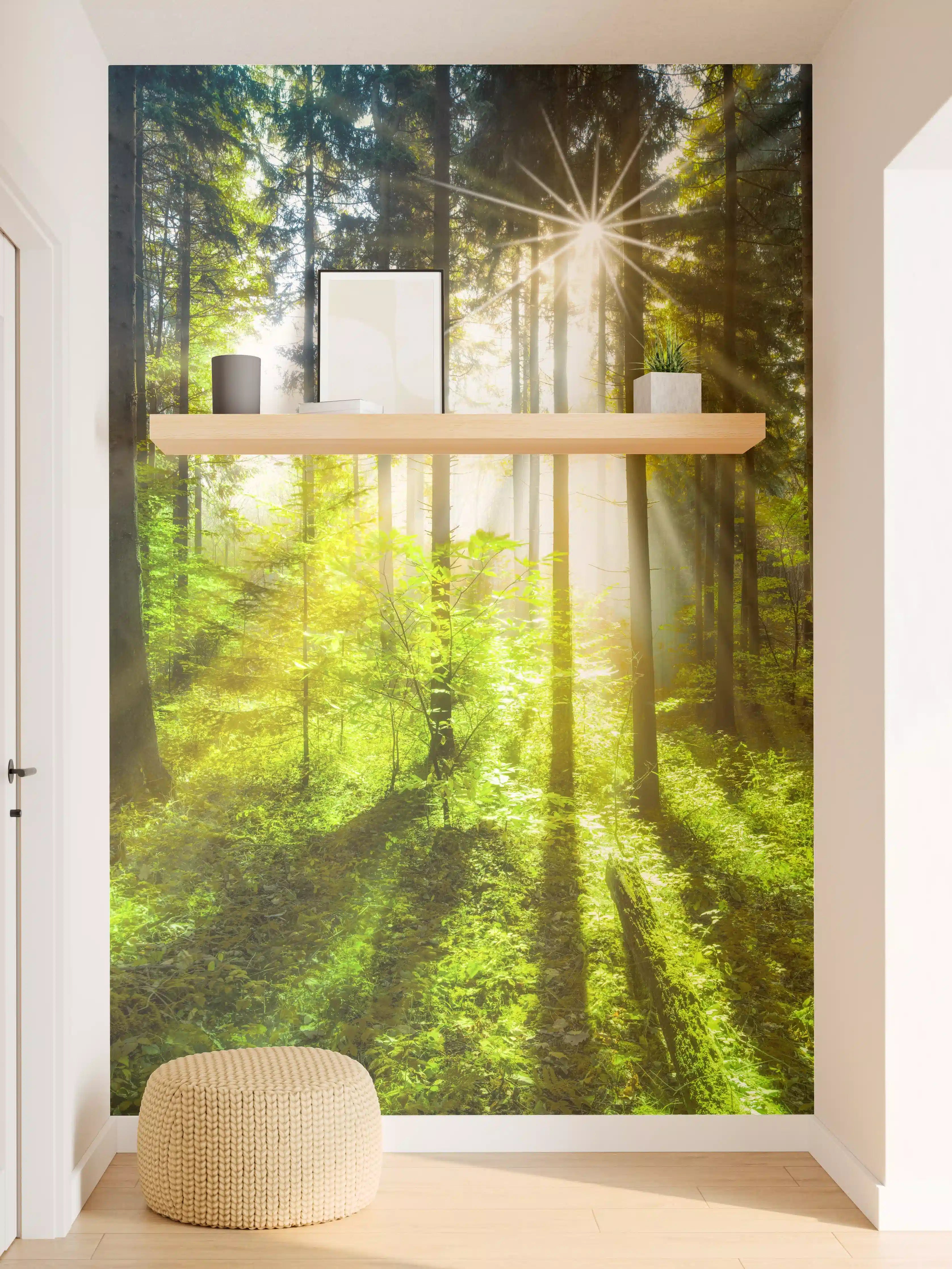 Wandverkleidung Flur - Sonnenstrahlen im lebendigem Wald