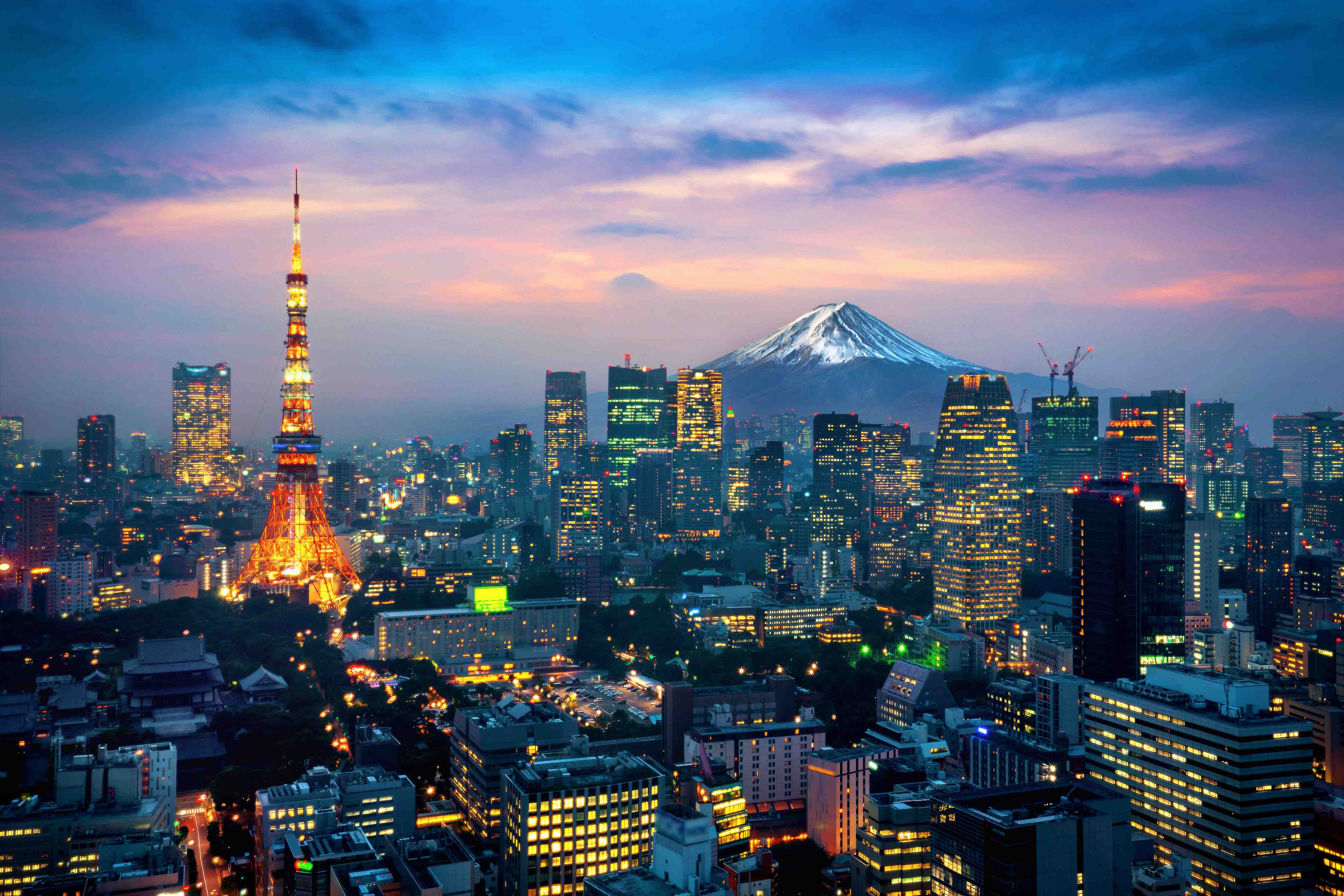 Wandverkleidung Flur-Stadt Tokyo bei Sonnenuntergang mit Mount Fuji im Hintergrund