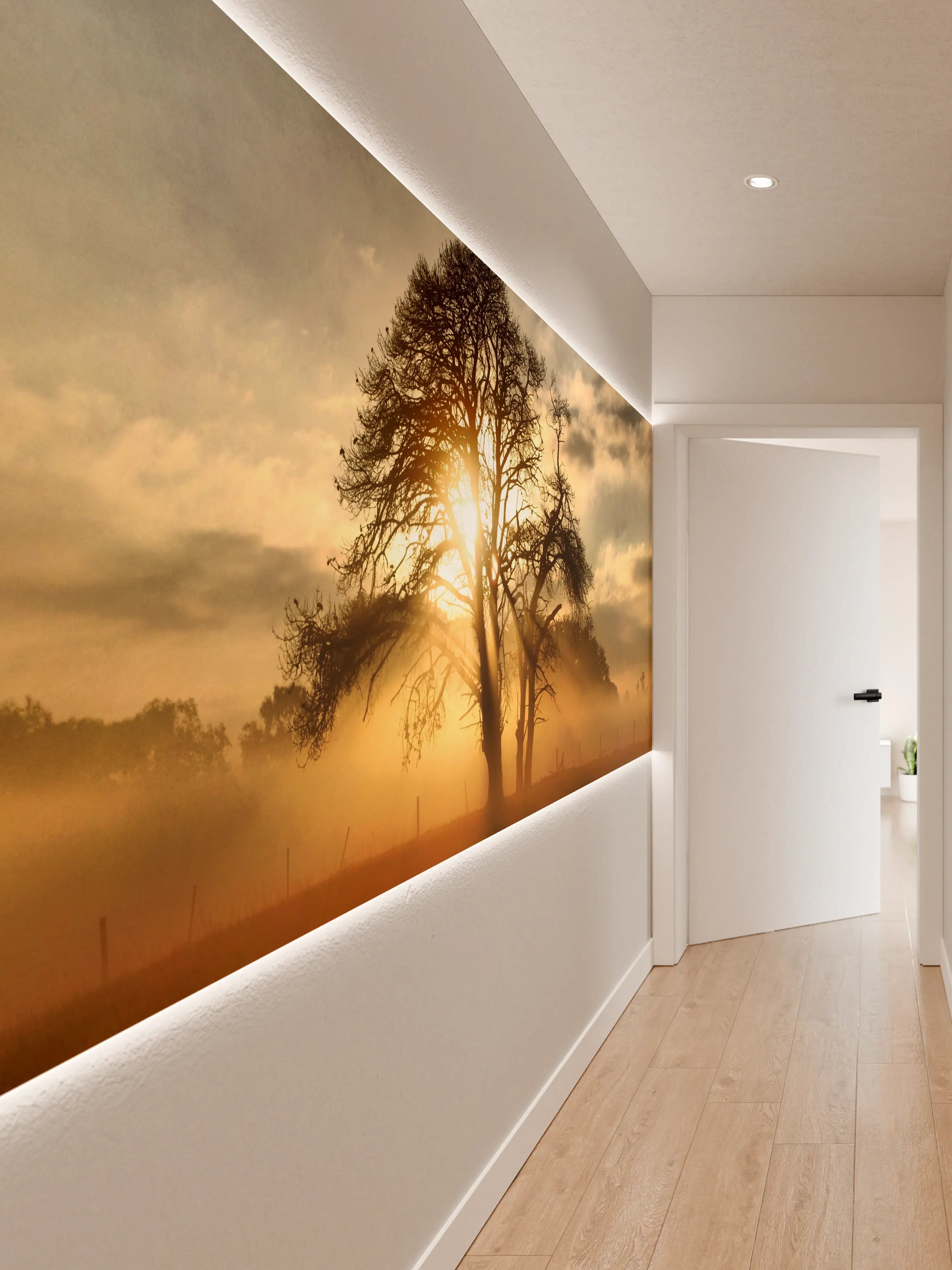 Wandverkleidung Flur - Stimmungsvoller Sonnenaufgang hinter Bäumen