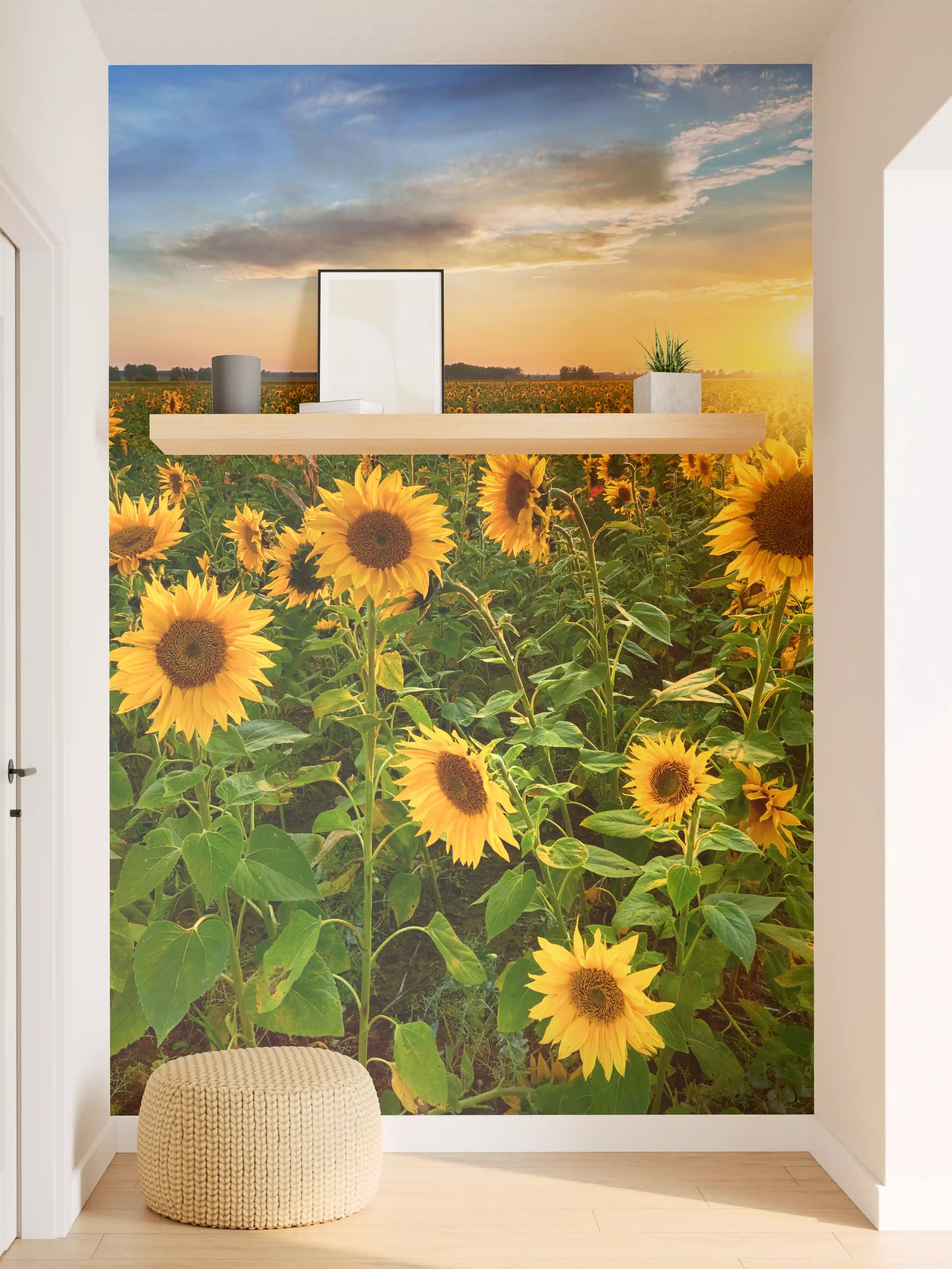 Wandverkleidung Flur - Strahlendes Sonnenblumenfeld bei Sonnenuntergang