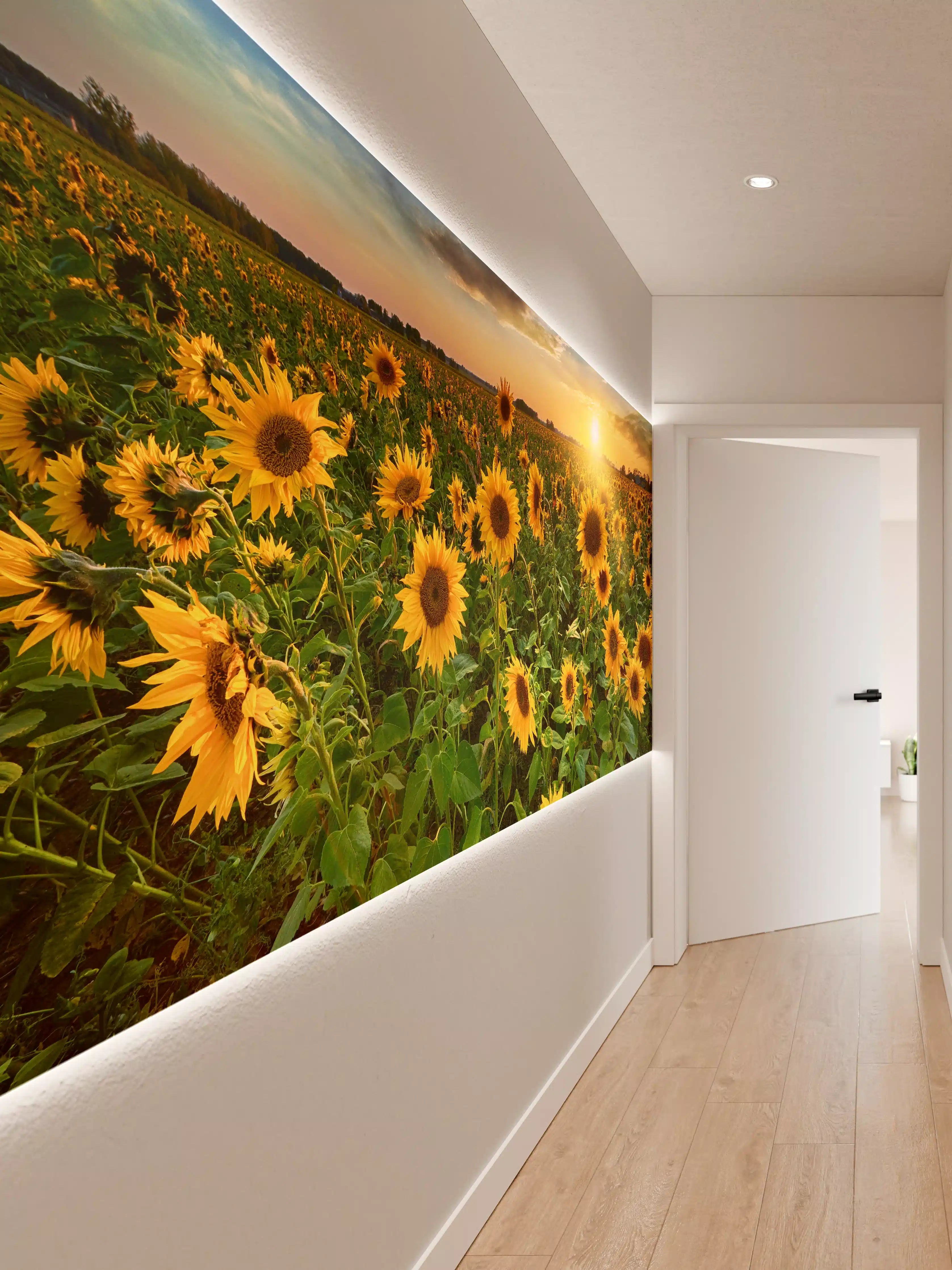 Wandverkleidung Flur - Strahlendes Sonnenblumenfeld bei Sonnenuntergang