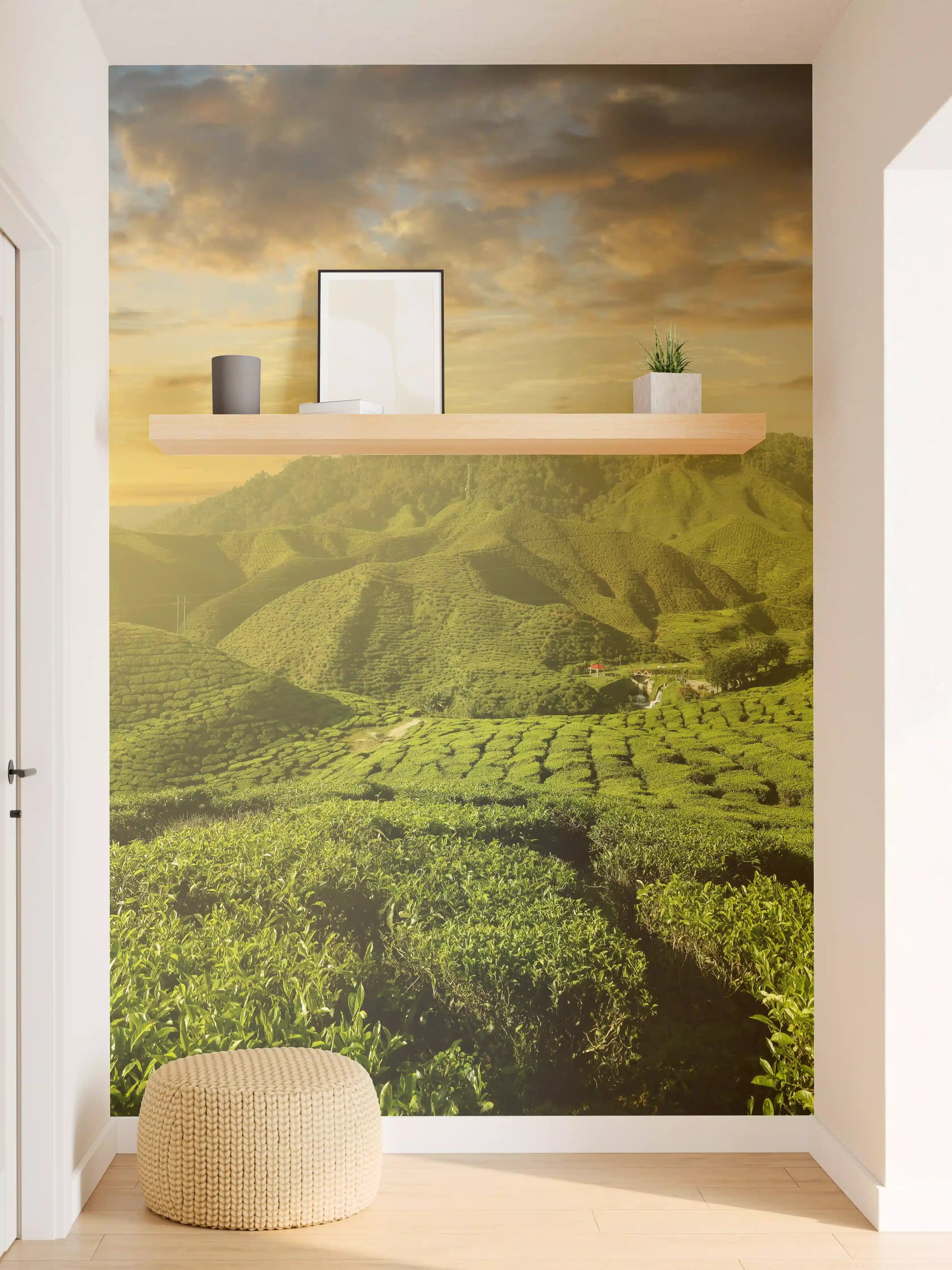 Wandverkleidung Flur - Teeplantage in Malaysia