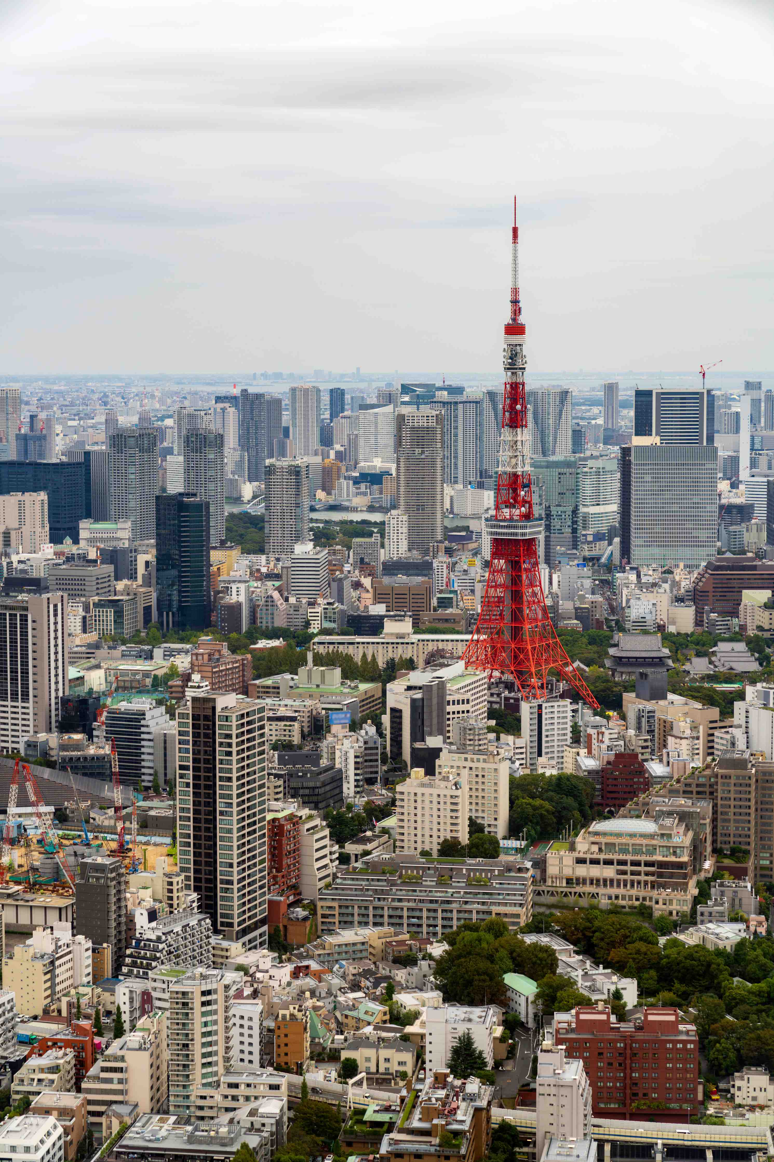 Wandverkleidung Flur-Tokyo Tower im Panorama bei bewölktem Himmel