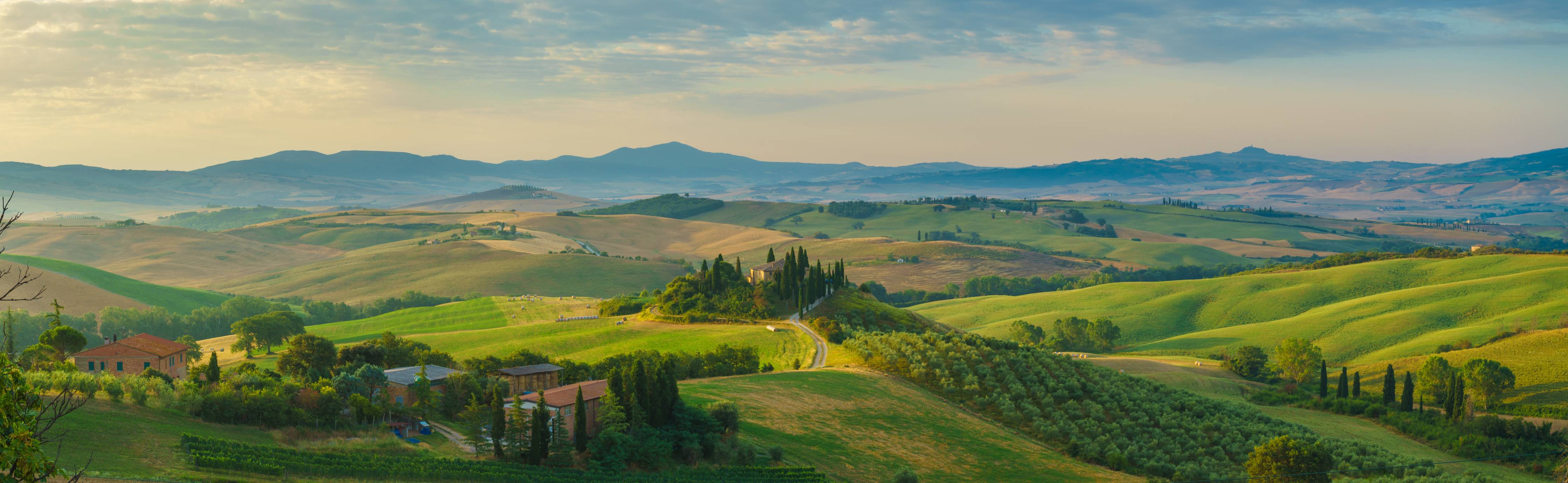 Wandverkleidung Flur-Toskana Hügellandschaft Grün-Gold