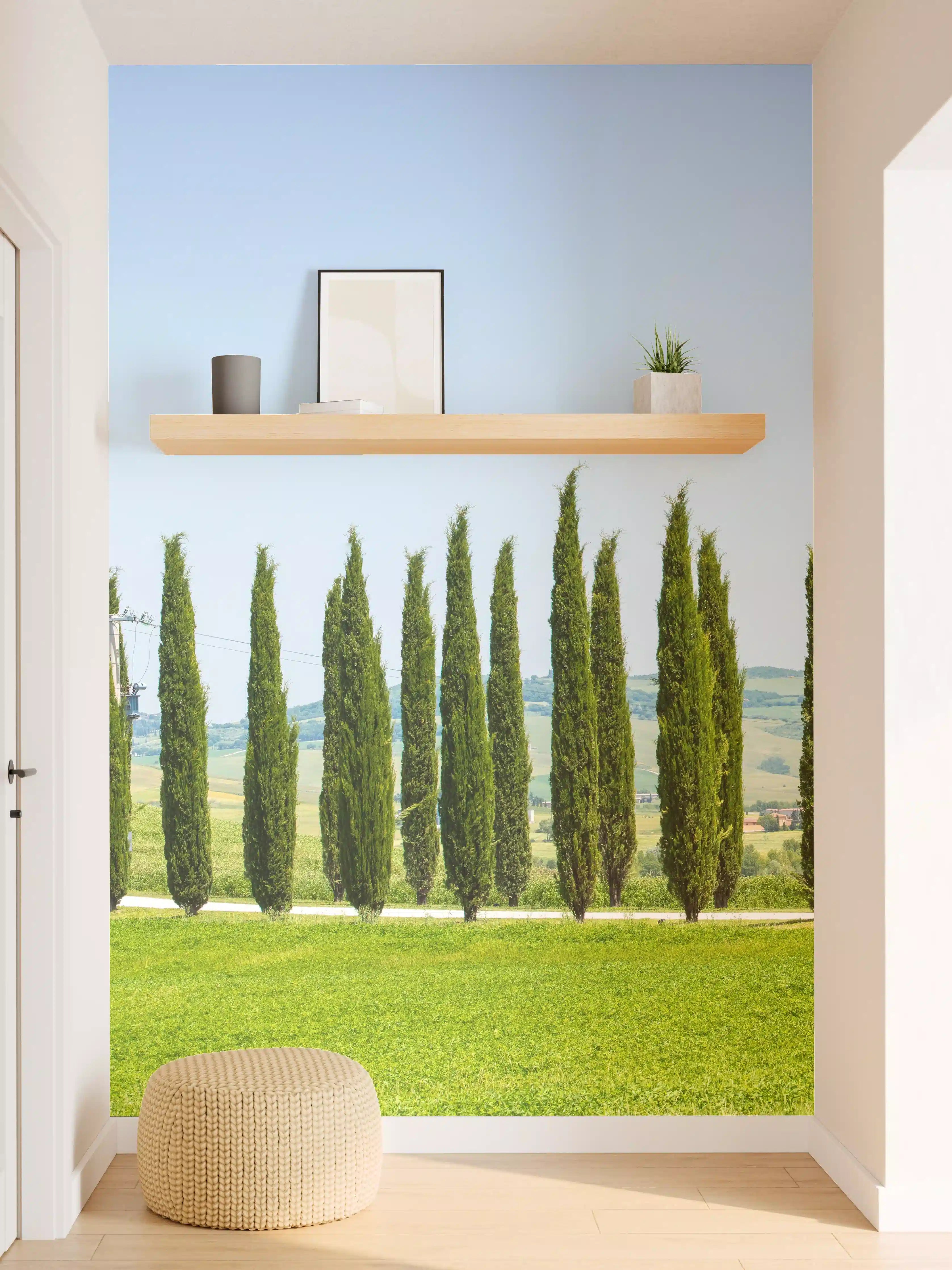 Wandverkleidung Flur - Toskanische Zypressenallee