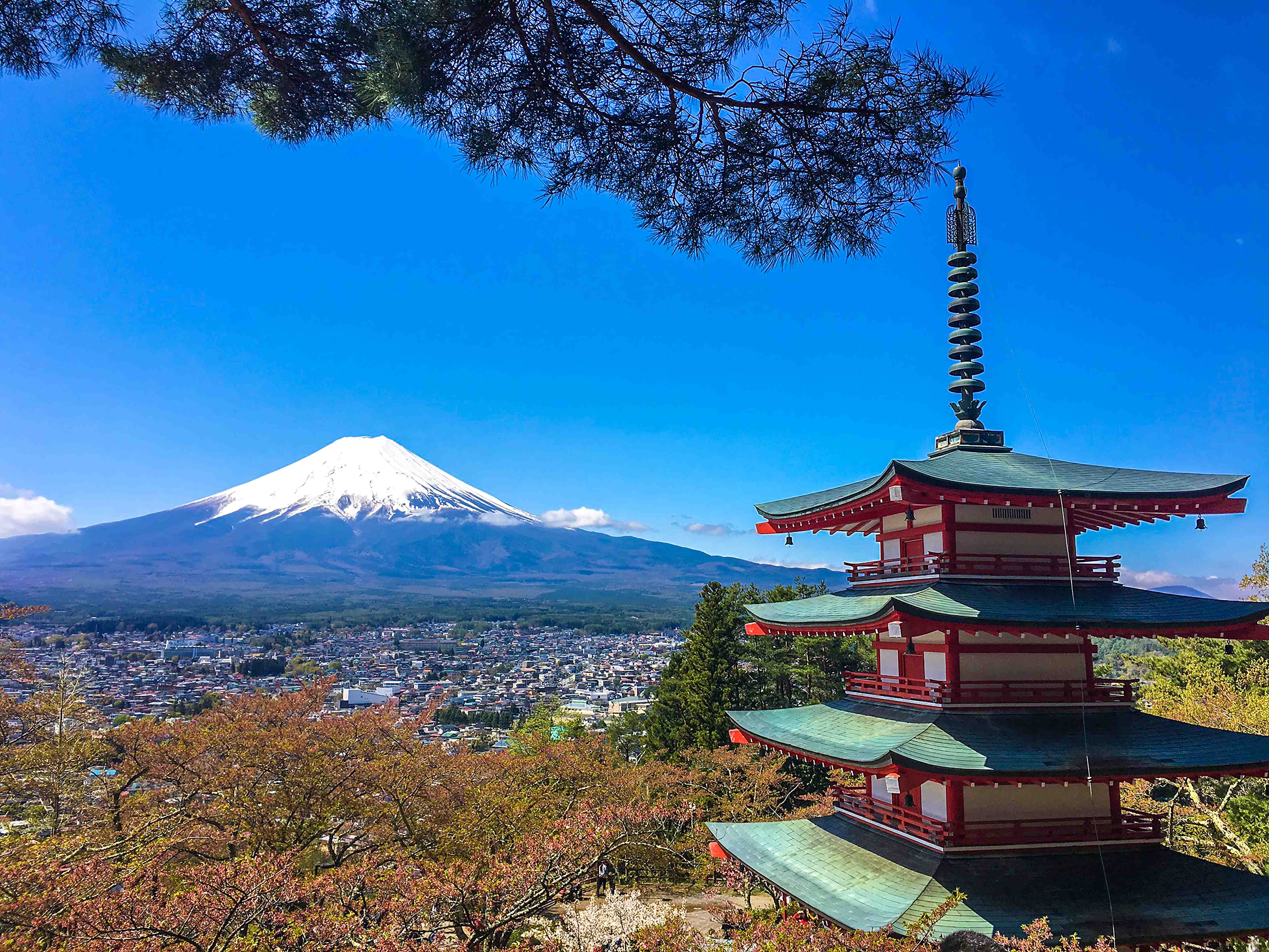 Wandverkleidung Flur-Traditionelles Japan: Mount Fuji und Pagode im Frühling