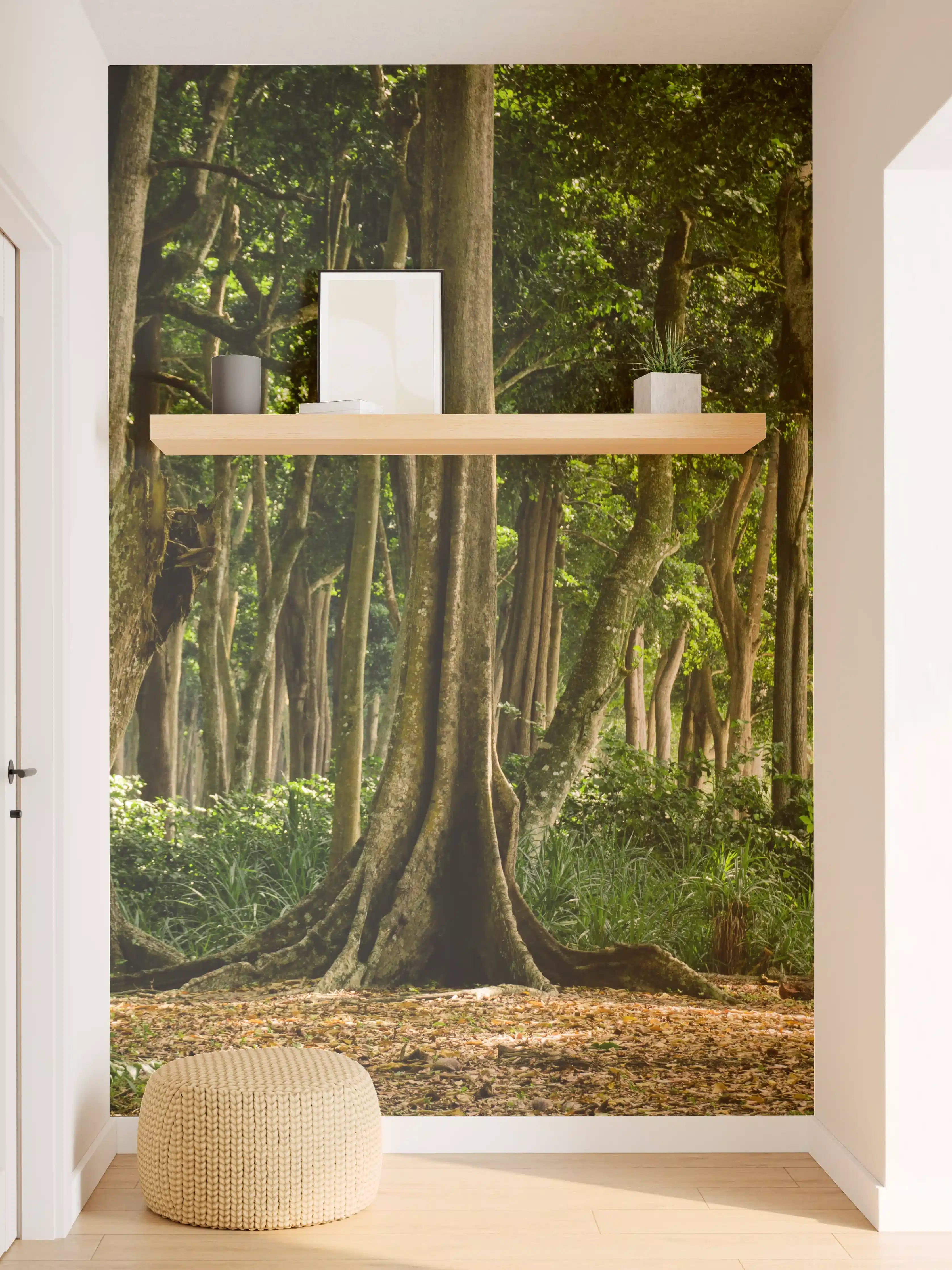 Wandverkleidung Flur - Tropischer Wald auf der Insel Havelock