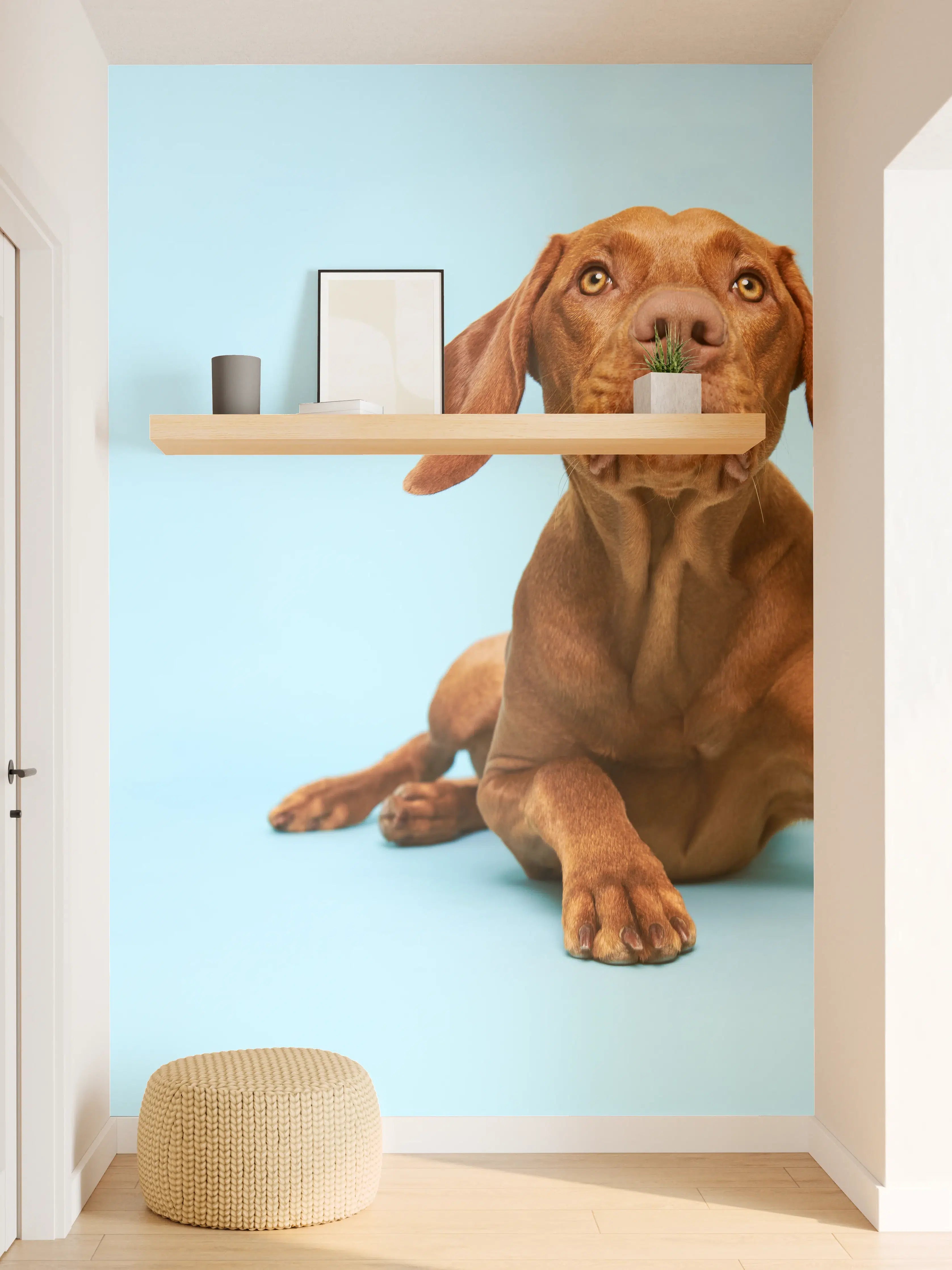 Wandverkleidung Flur - Ungarischer Vizsla-Welpe Portrait