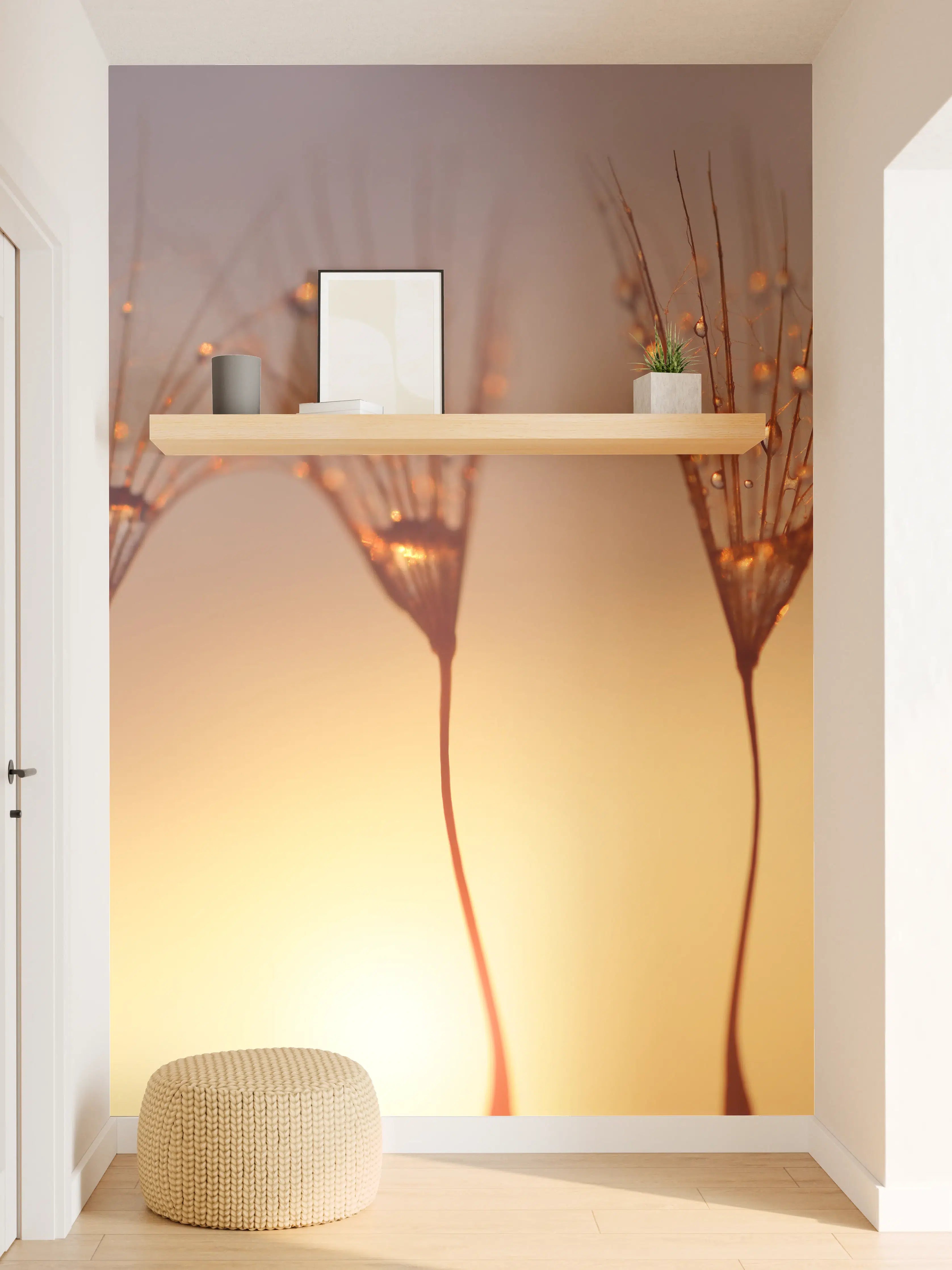 Wandverkleidung Flur - Wassertropfen auf Löwenzahnsamen