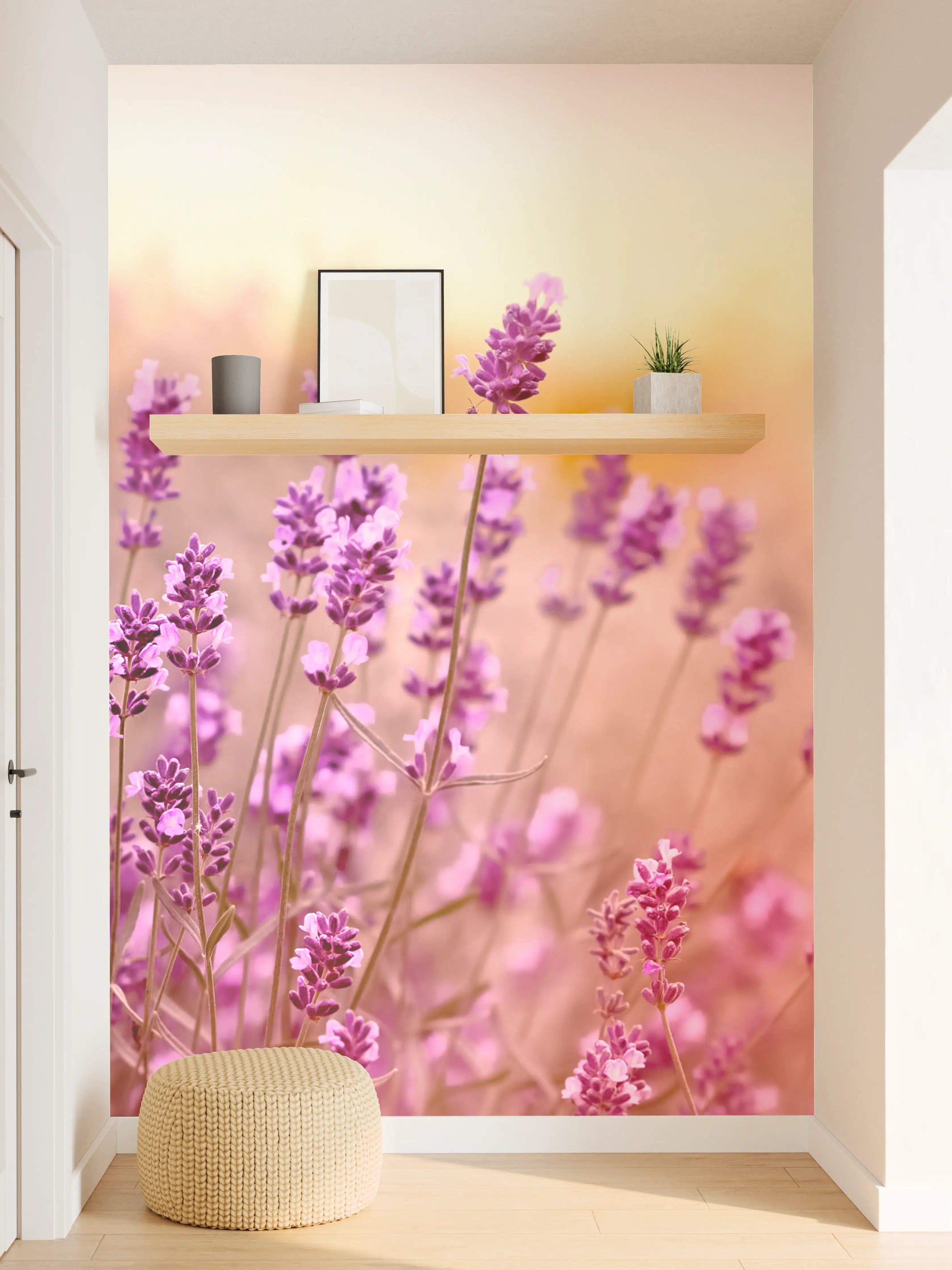 Wandverkleidung Flur - Weicher und selektiver Fokus auf Lavendelblüte