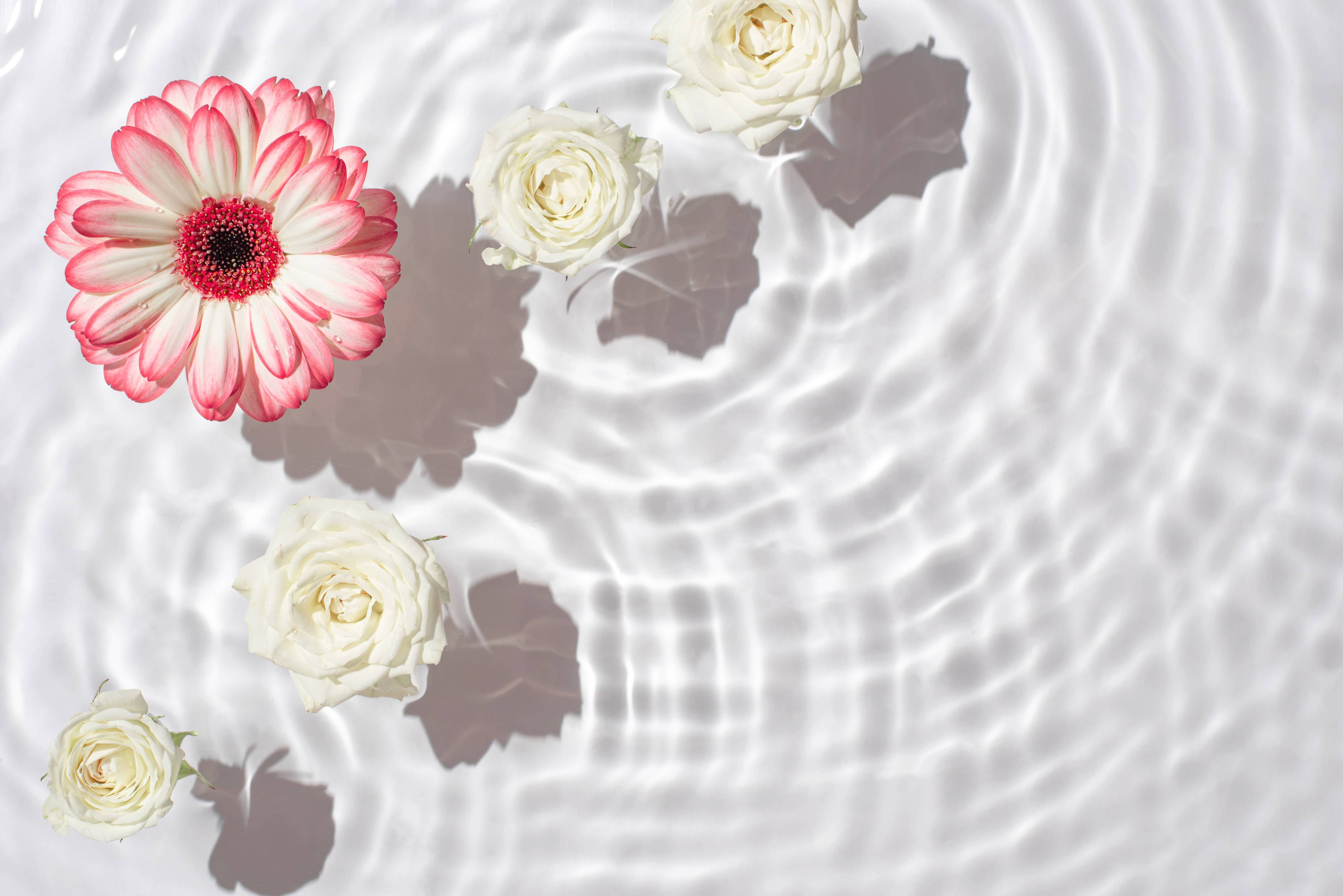 Wandverkleidung Flur-Weiße Wasserblumen mit Rosa-Akzent