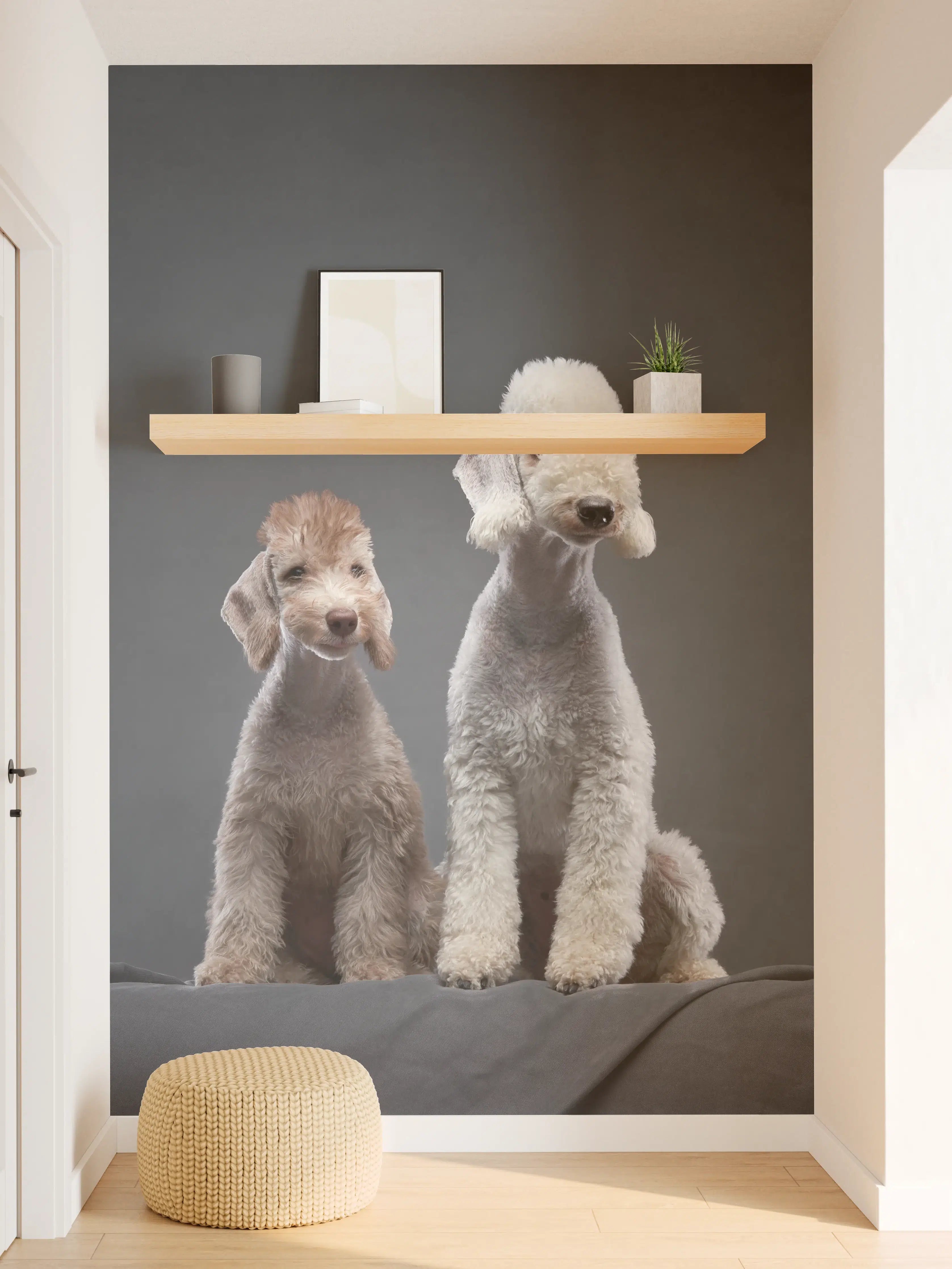 Wandverkleidung Flur - Welpe und erwachsener Bedlington Terrier