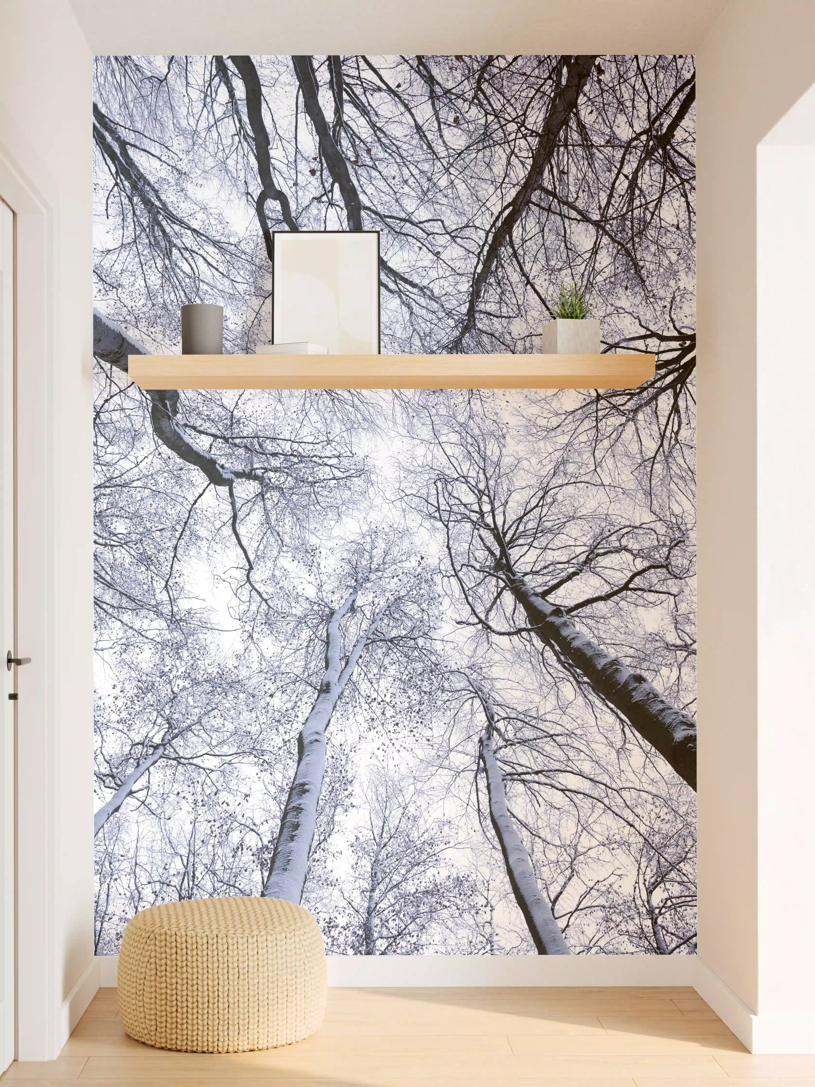 Wandverkleidung Flur - Winterlicher Baumhimmel mit Schneelandschaft