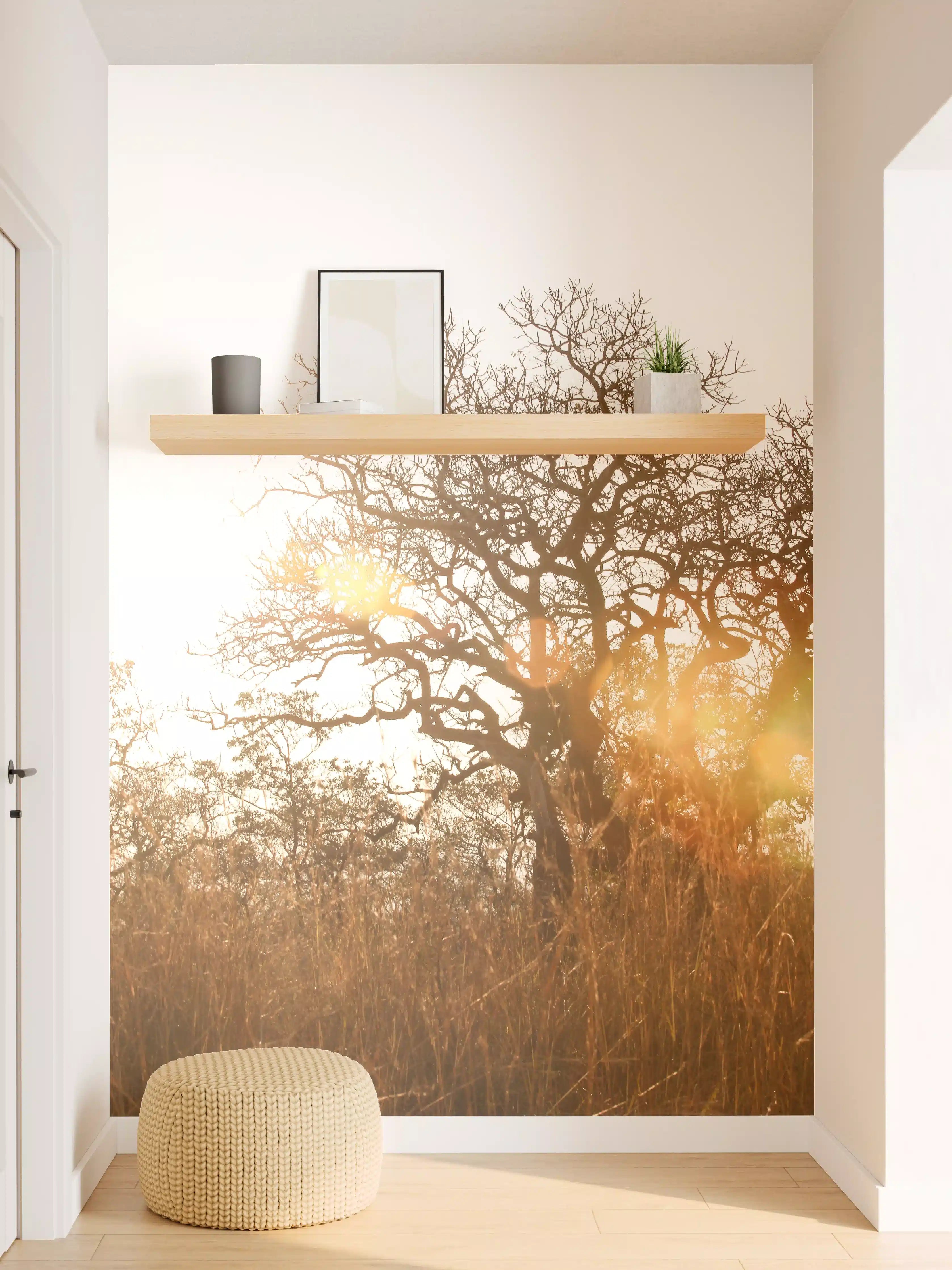 Wandverkleidung Flur - Wunderschöner Baum im Sonnenlicht