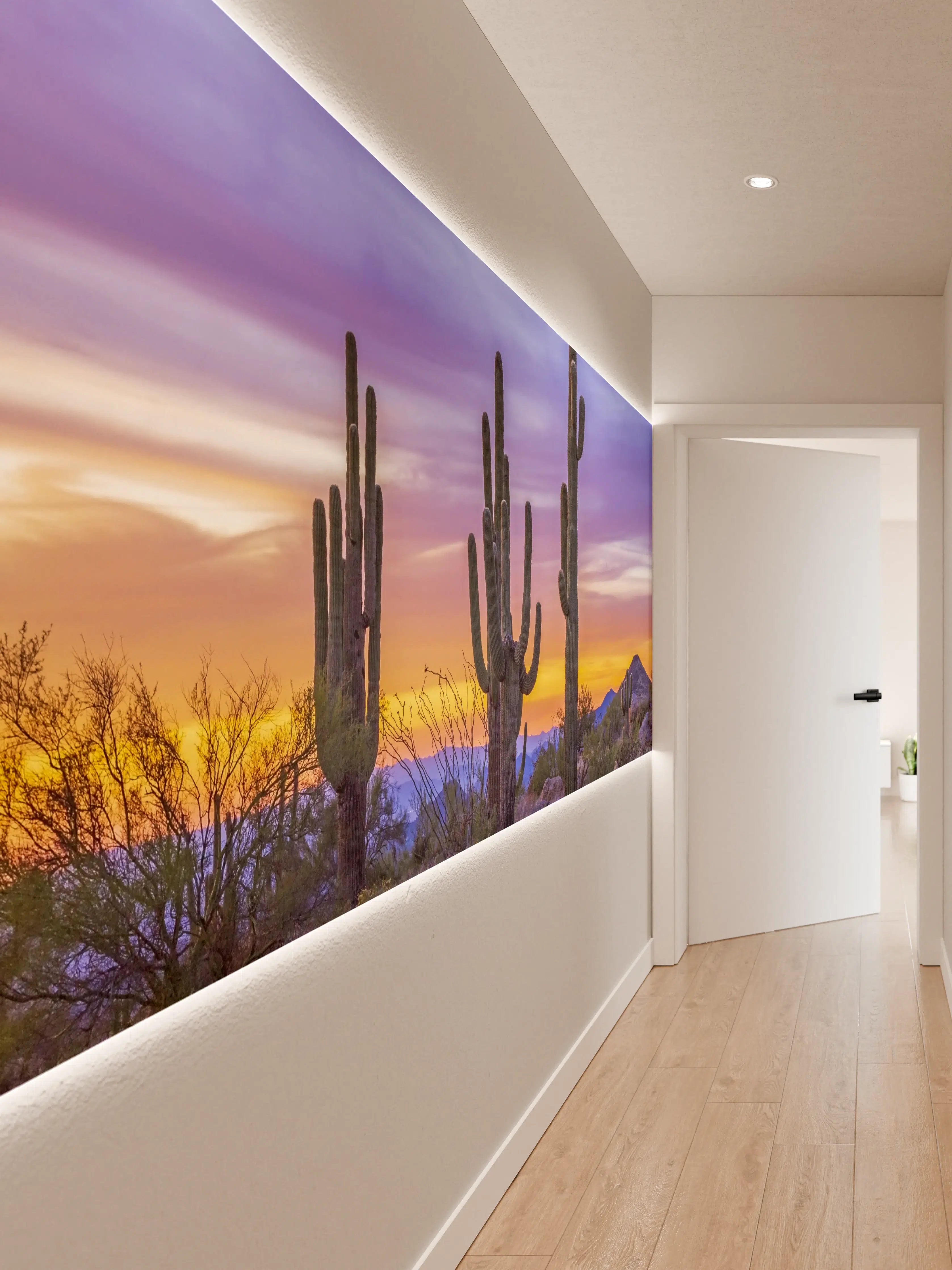 Wandverkleidung Flur - Wunderschöner Saguaro-Kaktus bei Sonnenuntergang