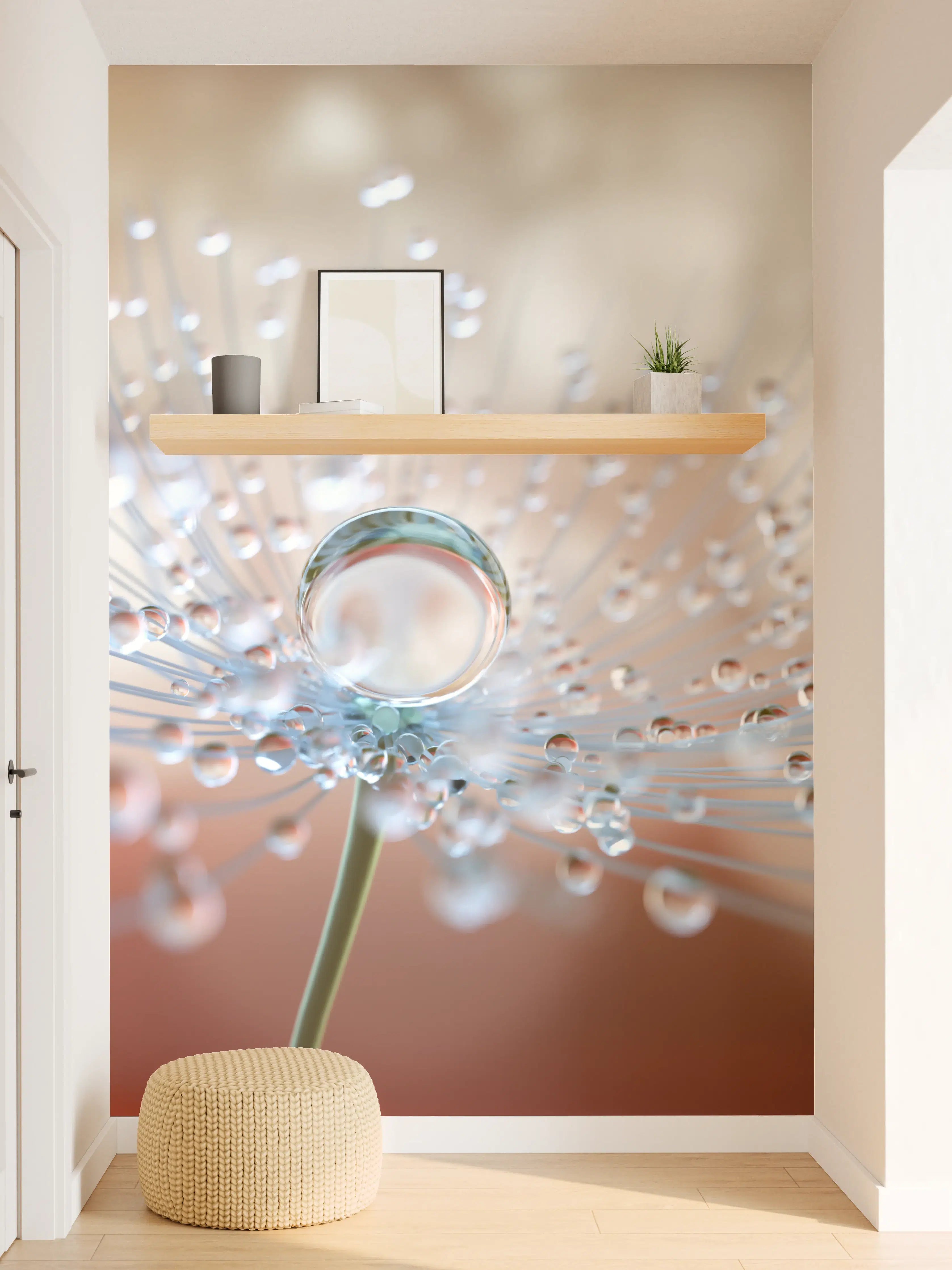 Wandverkleidung Flur - Zarte Wassertröpfchen auf Blüte – Makroaufnahme im Detail