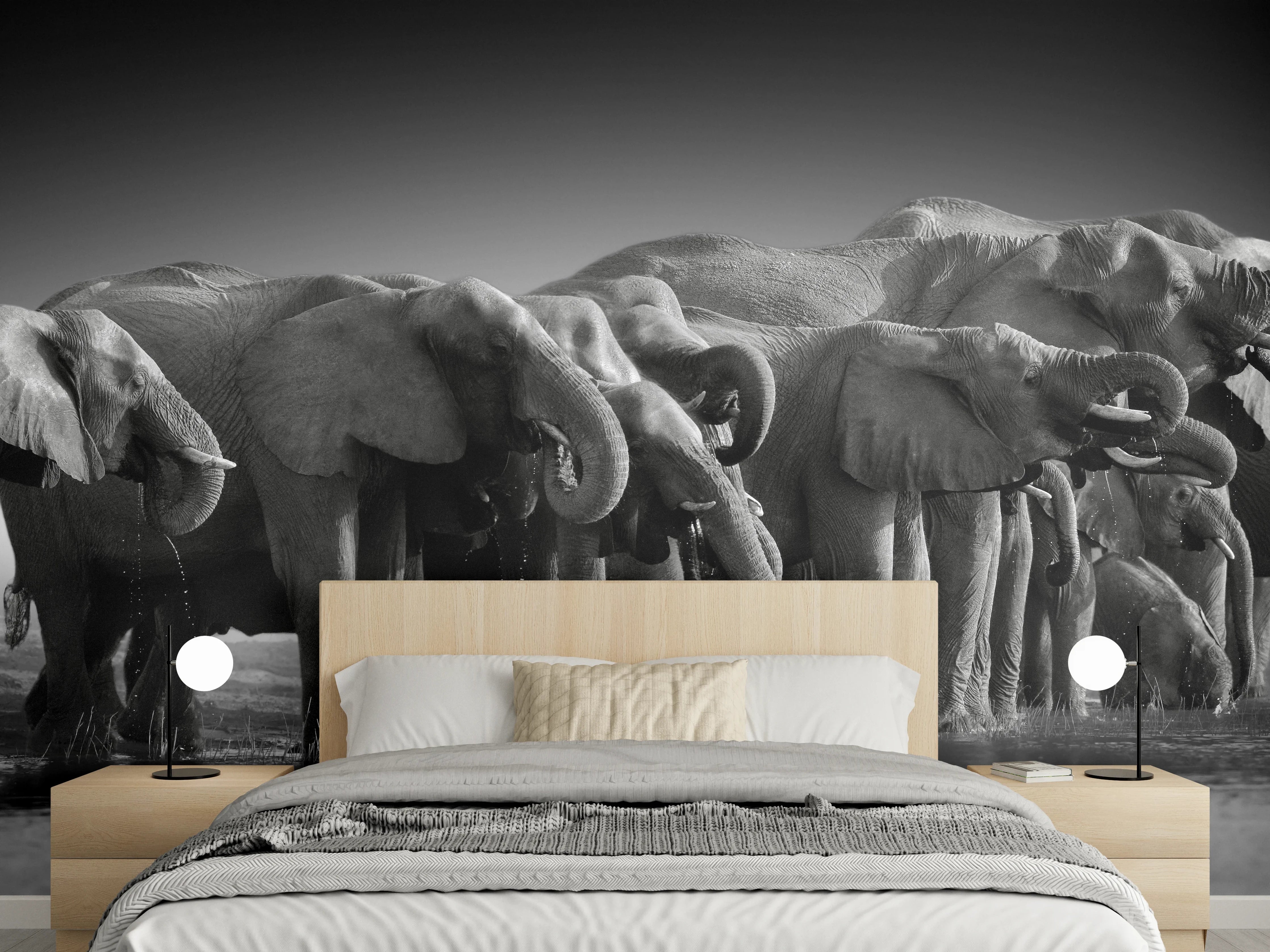 Wandverkleidung Schlafzimmer - Afrikanische Elefantenherde (Schwarz-Weiß)