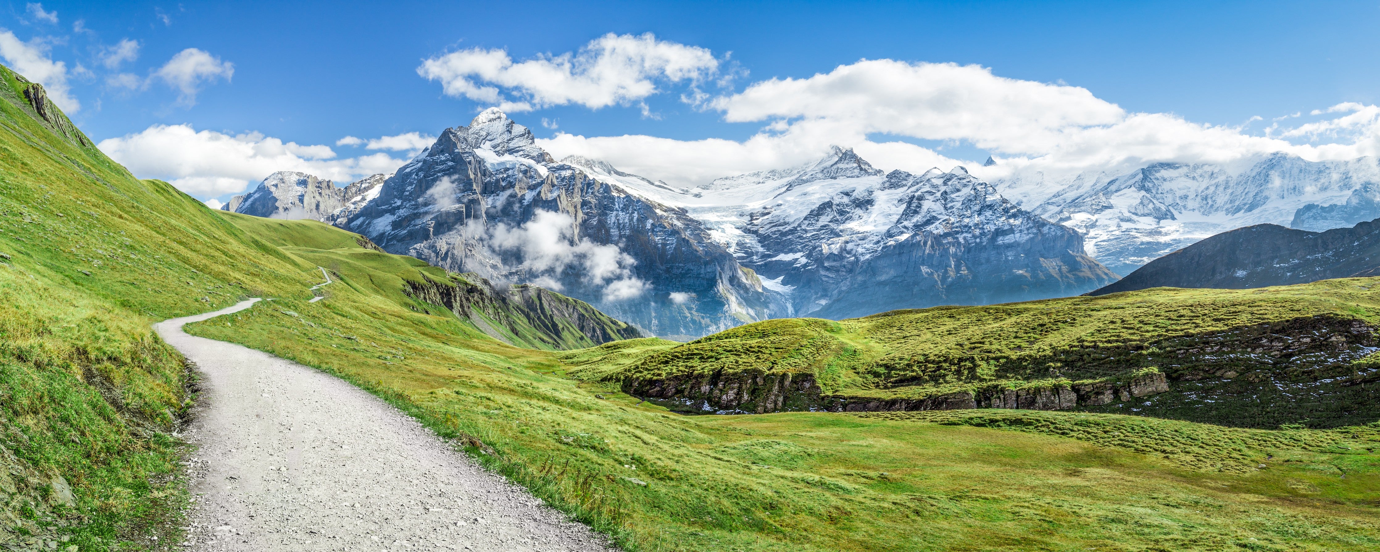 Wandverkleidung Schlafzimmer-Alpenpanorama mit Wiesenpfad