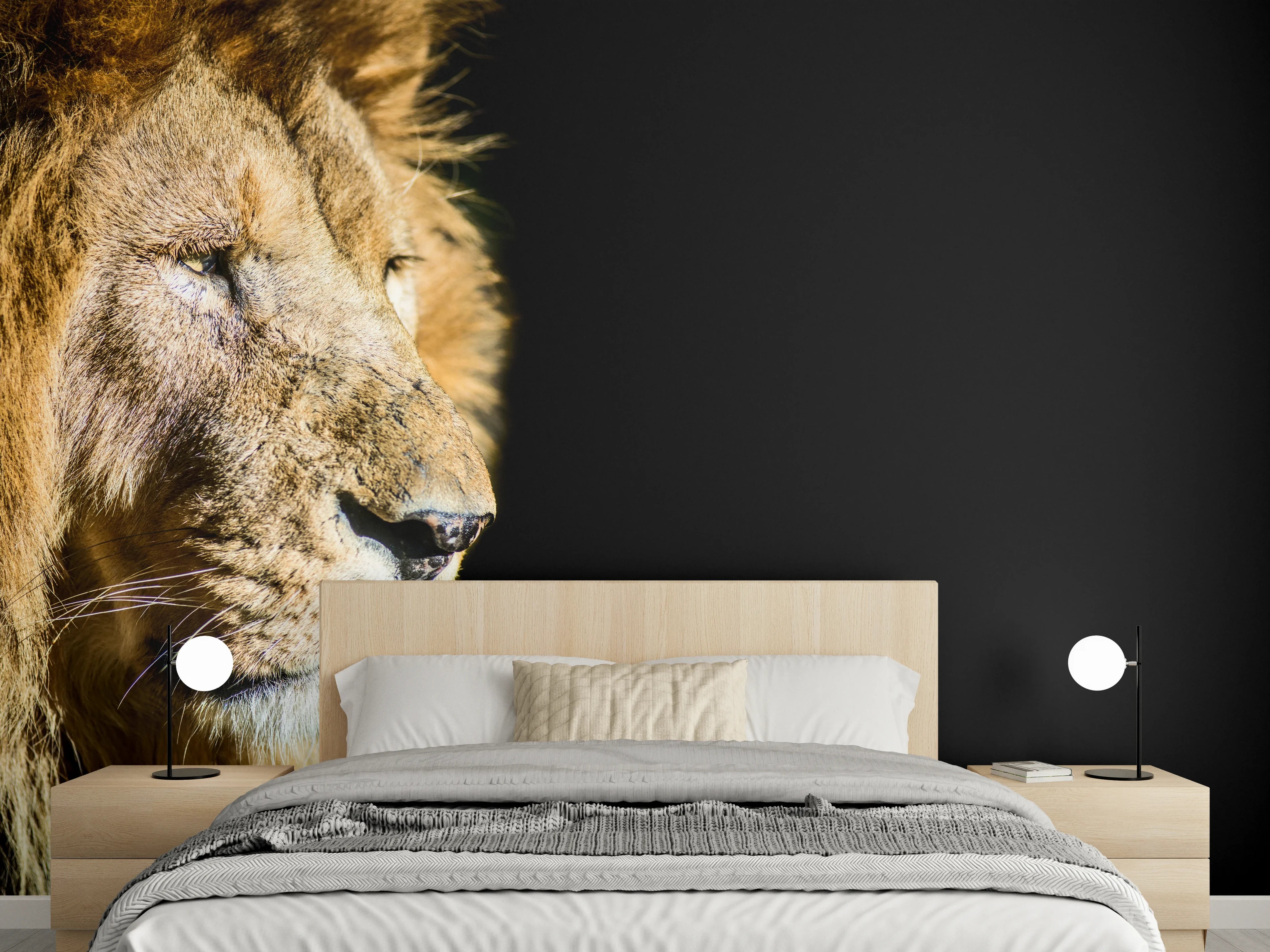 Wandverkleidung Schlafzimmer - Alter Löwe auf schwarzem Hintergrund