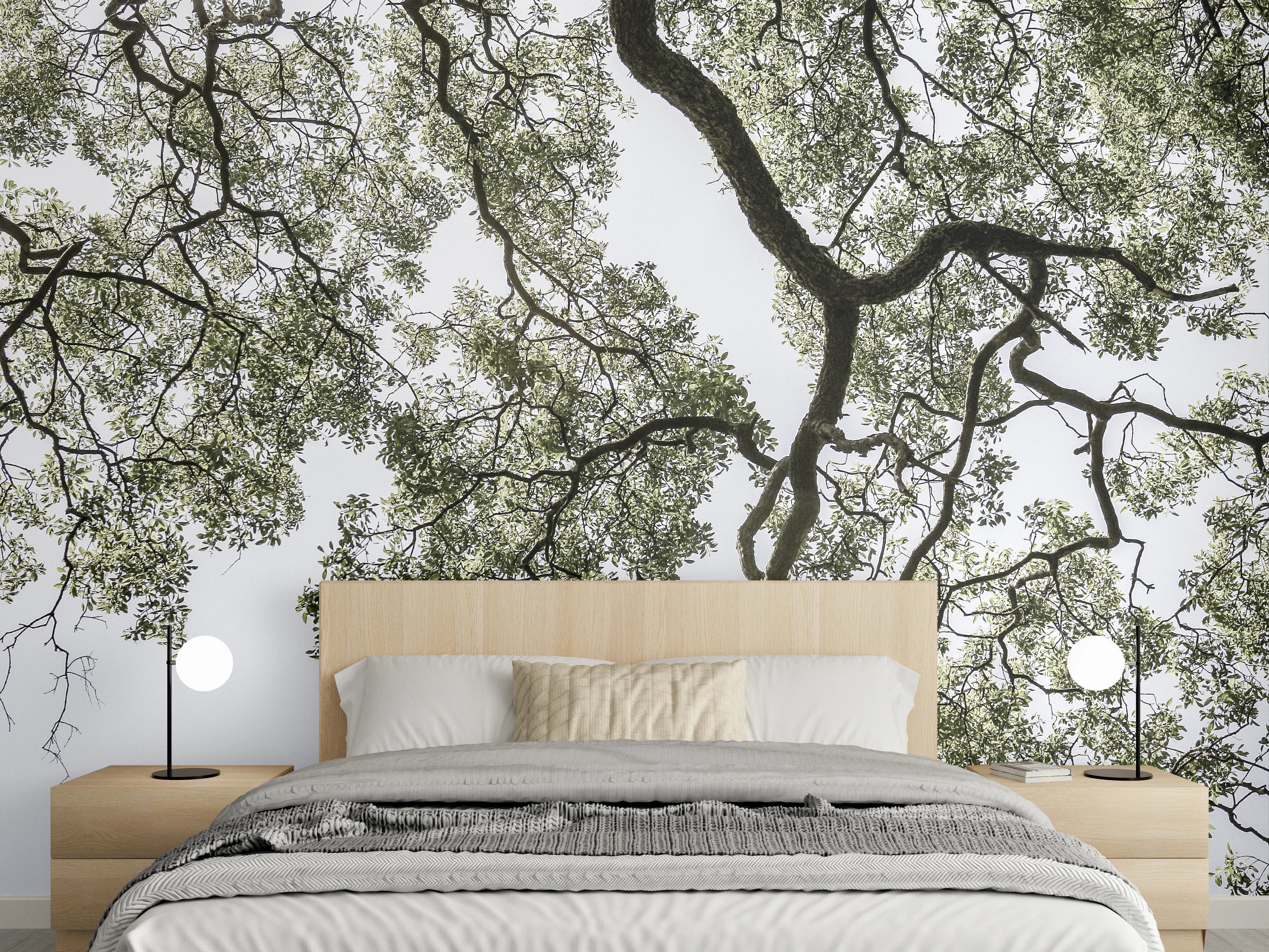 Wandverkleidung Schlafzimmer - Baumkrone Schwarz-Weiß Fotokunst