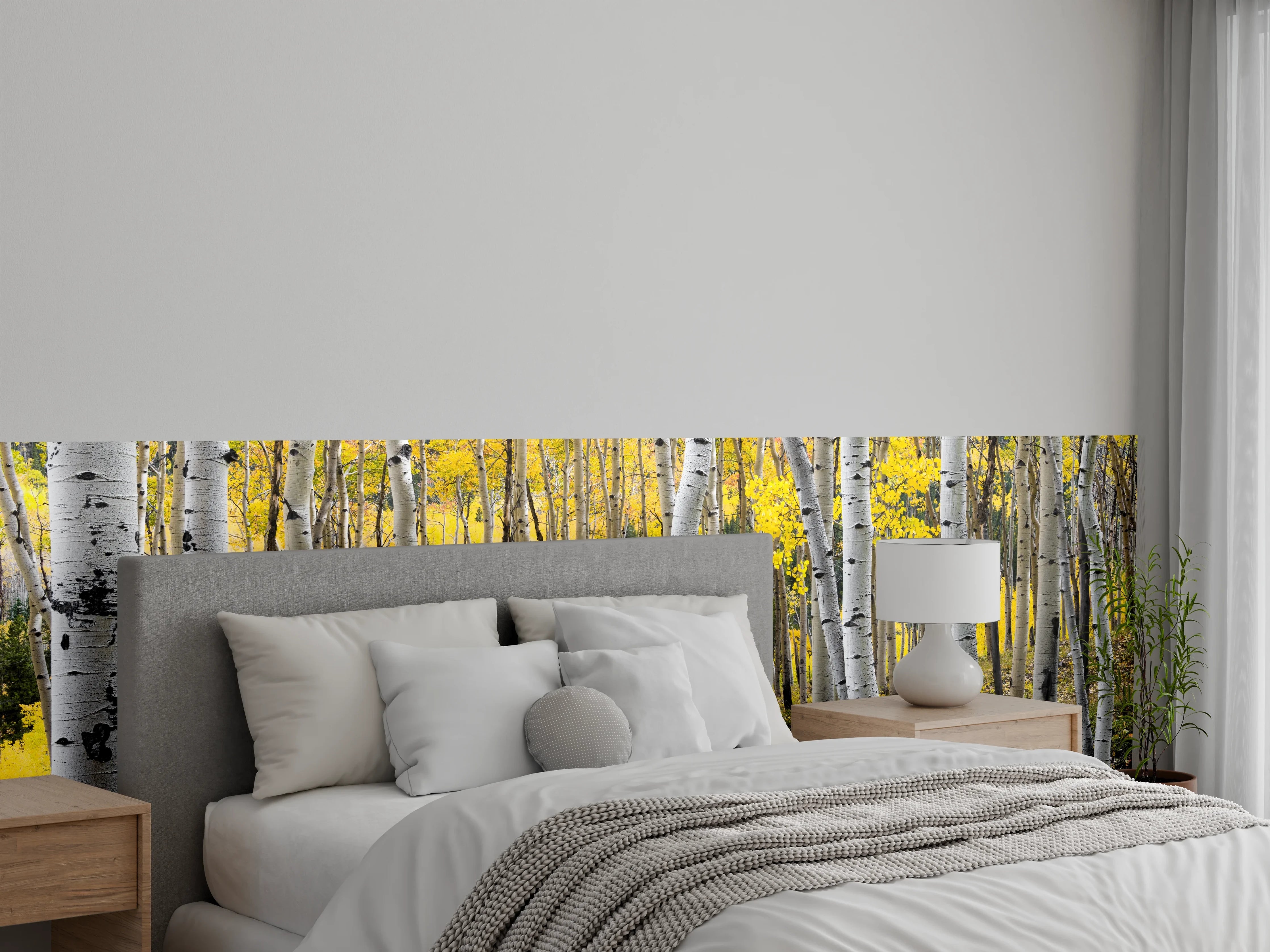 Wandverkleidung Schlafzimmer - Birkenwald Natur Fotomotiv