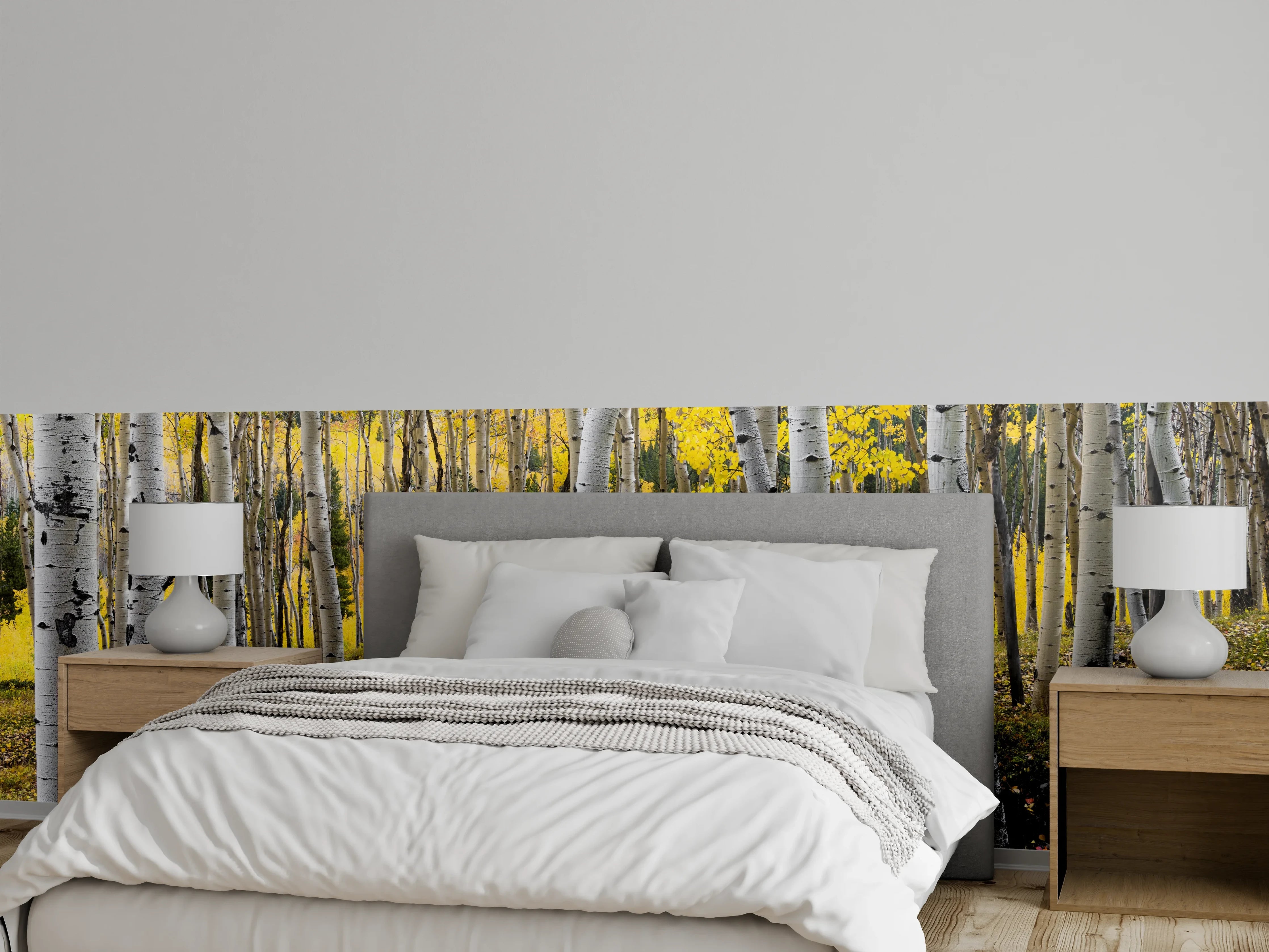 Wandverkleidung Schlafzimmer - Birkenwald Natur Fotomotiv