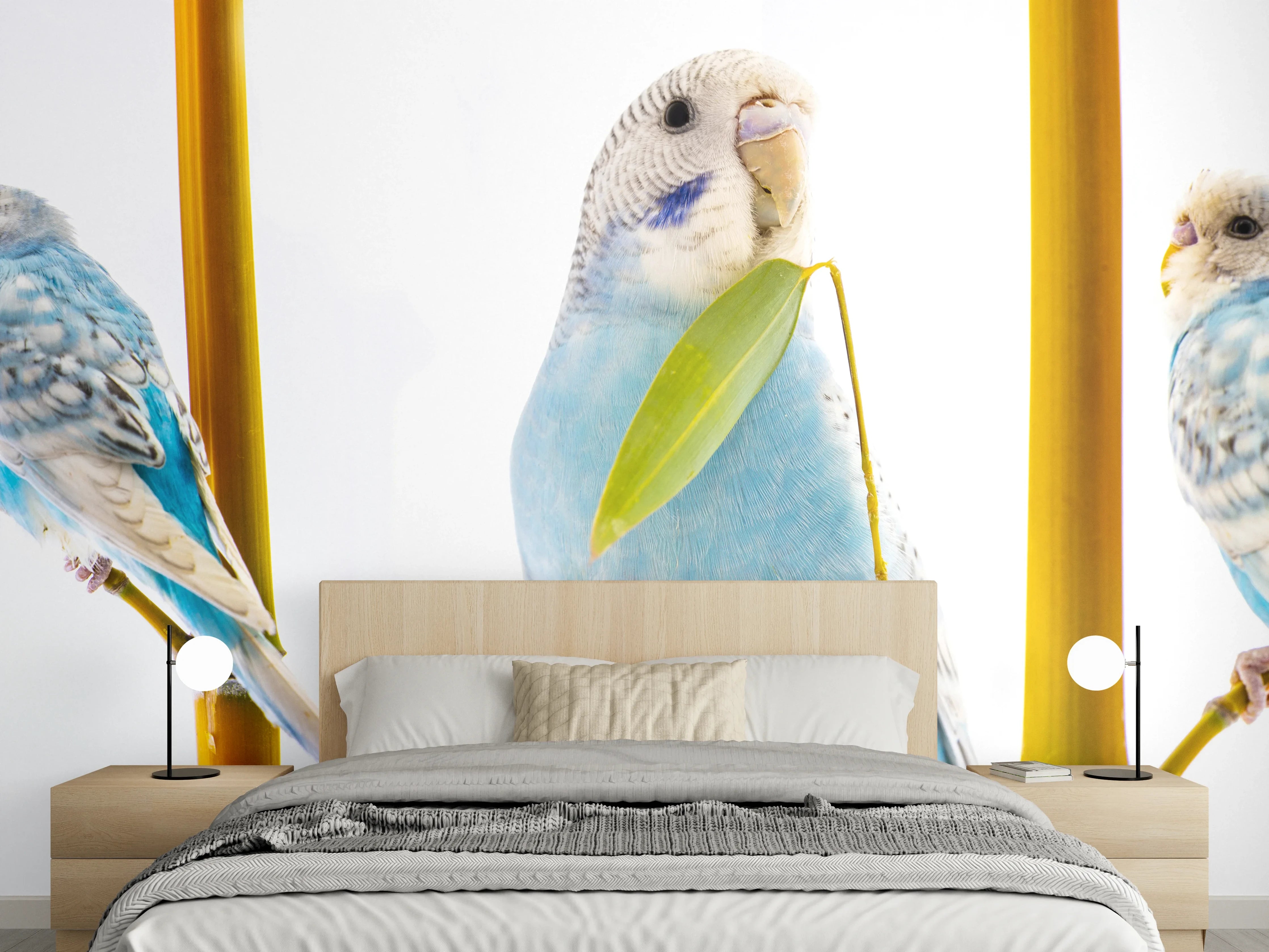 Wandverkleidung Schlafzimmer - Blaue gewellte Papageien auf weißem Hintergrund